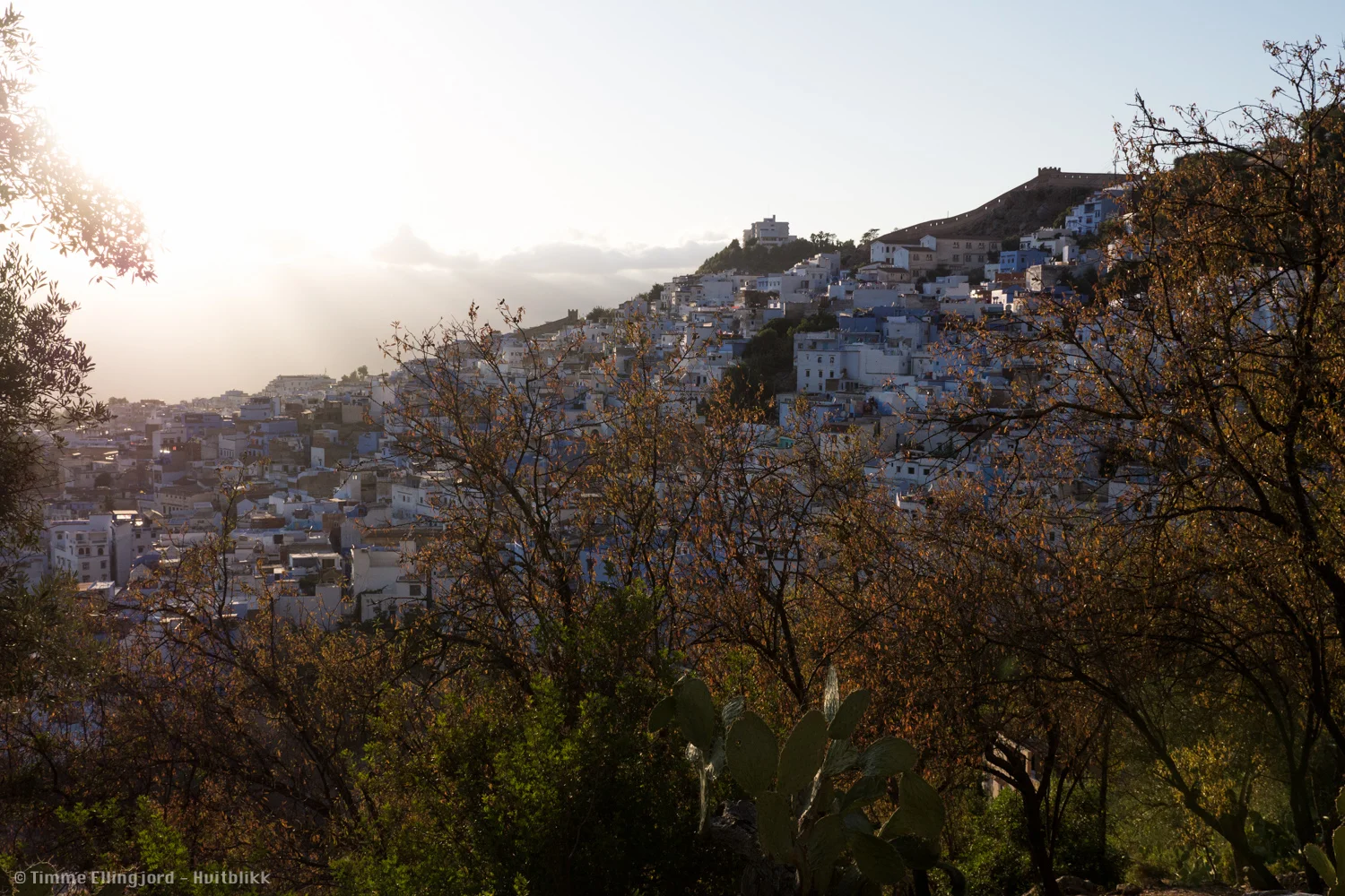 the blue city seen from the hills.