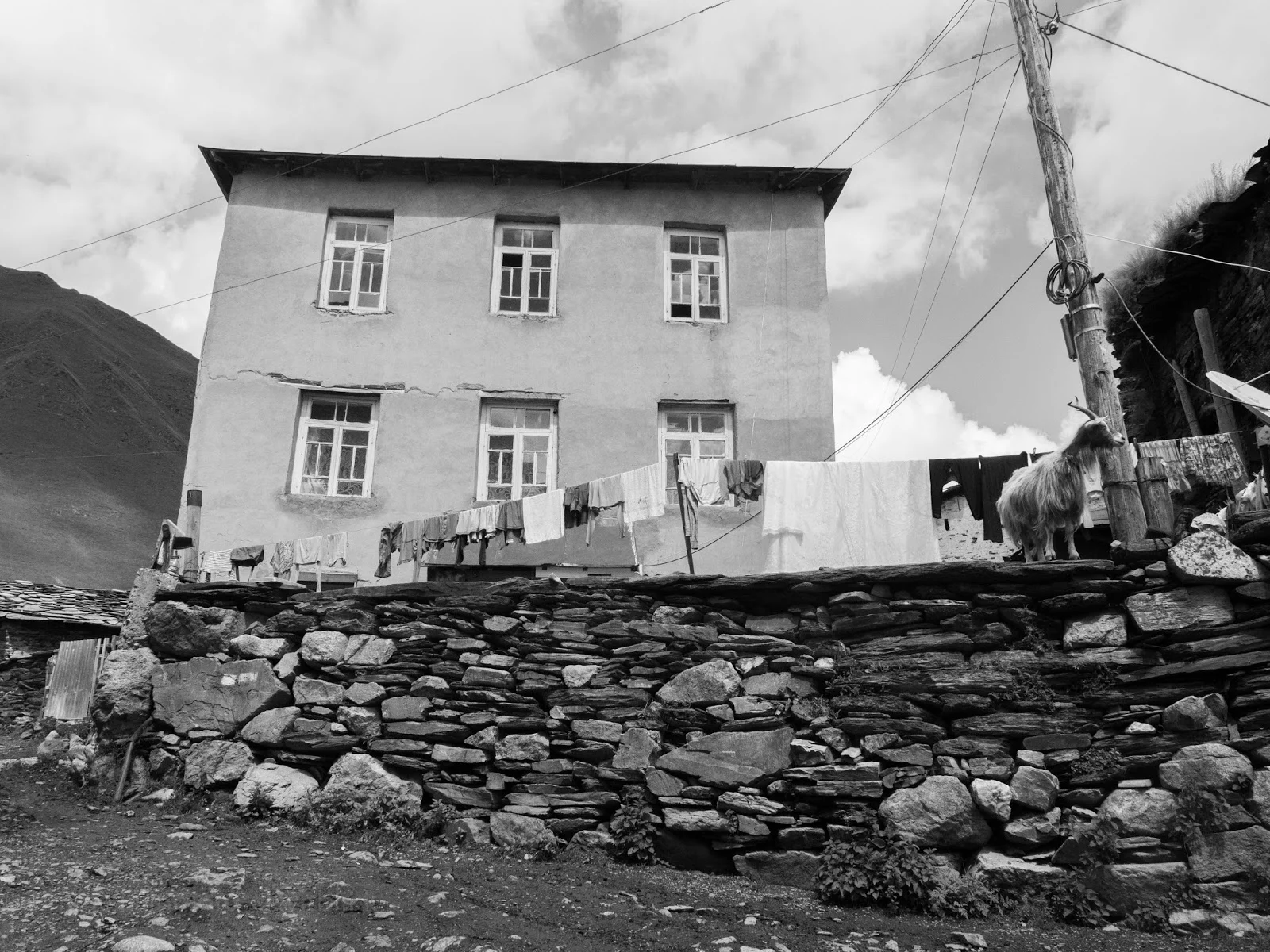 P1080394.jpg
