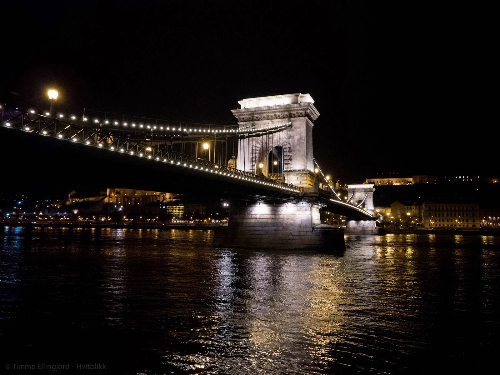 P1100436.jpg