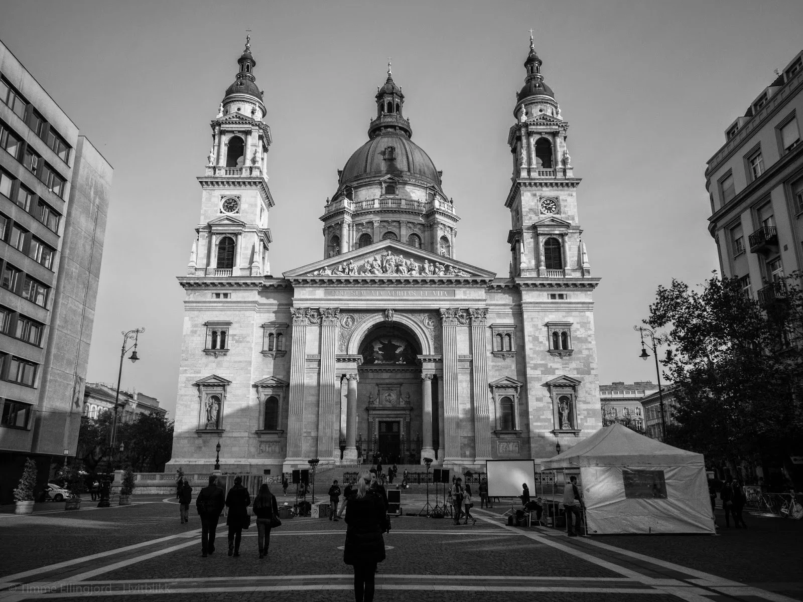 P1100533-2.jpg