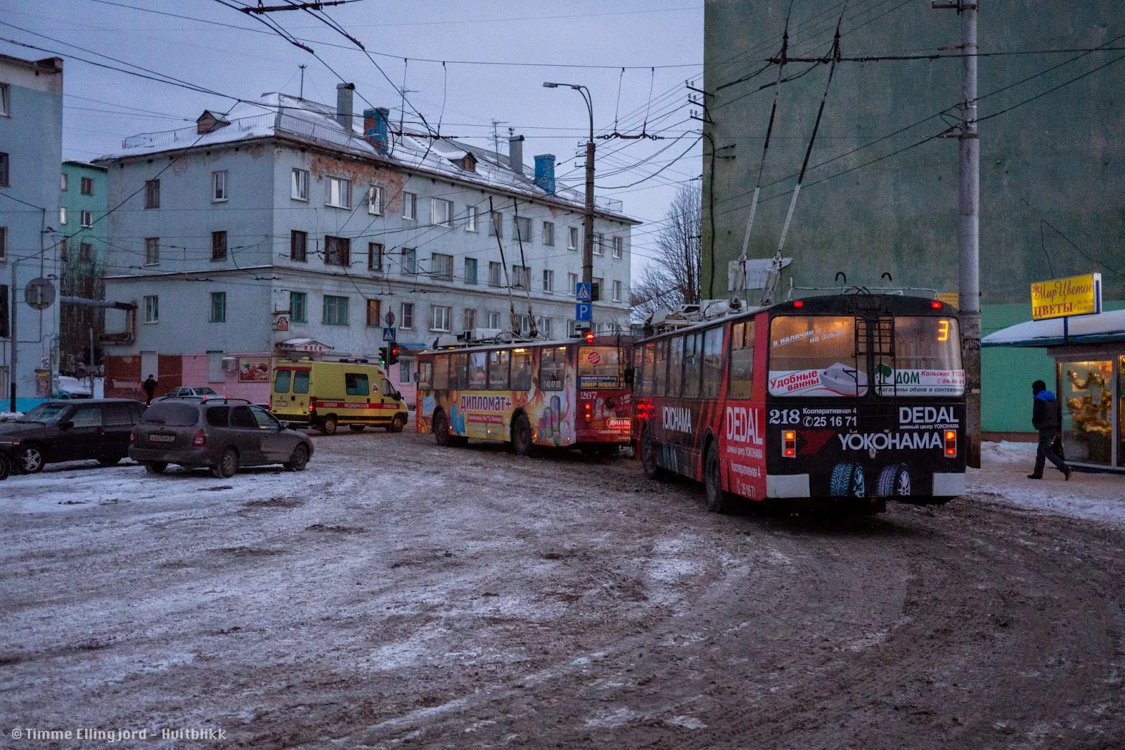 P1110654.jpg