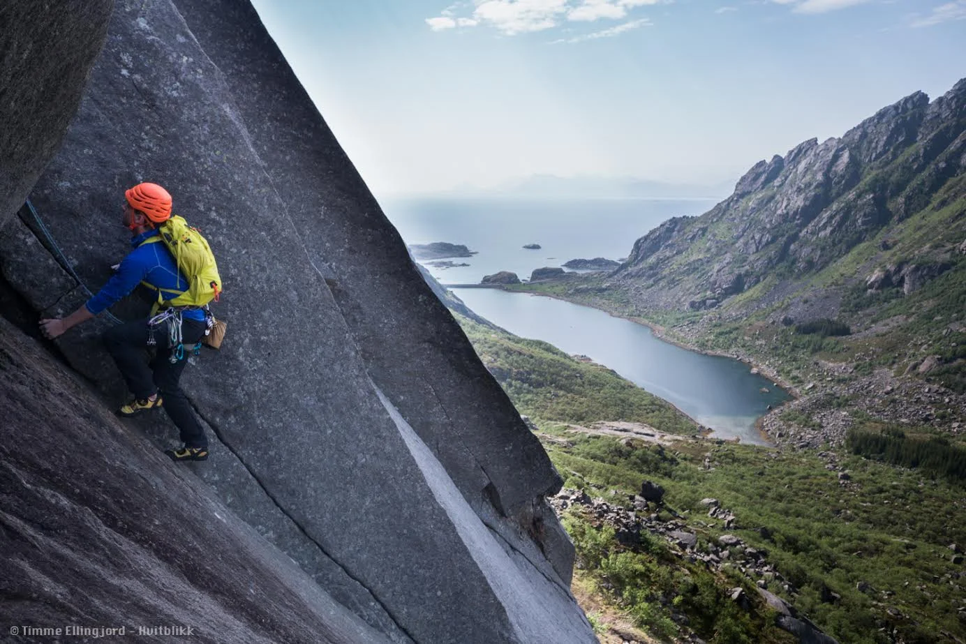 bareblåbær.jpg