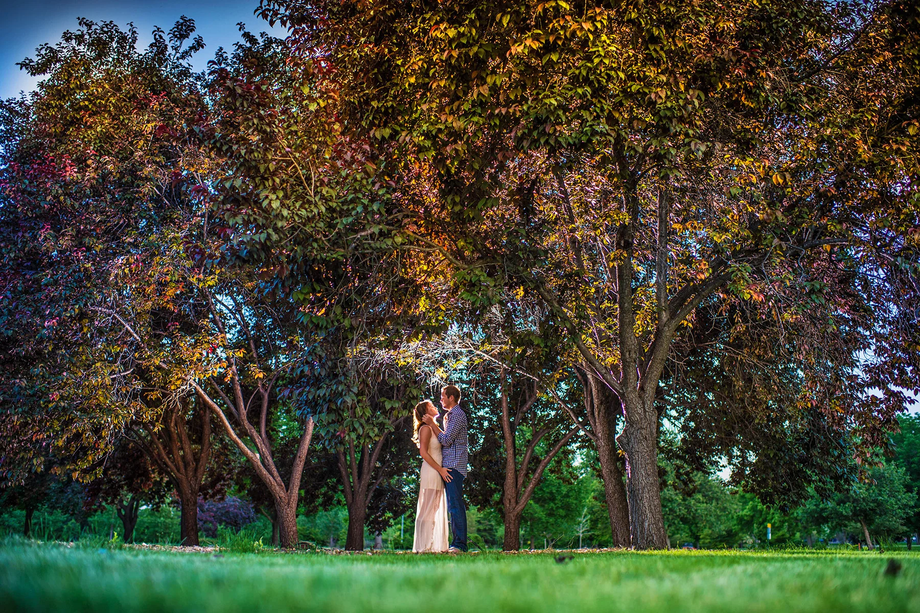 fine art wedding photographer