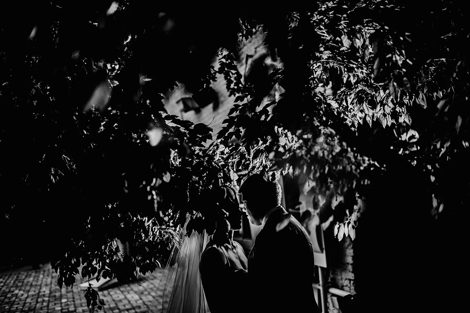 modern wedding photographers