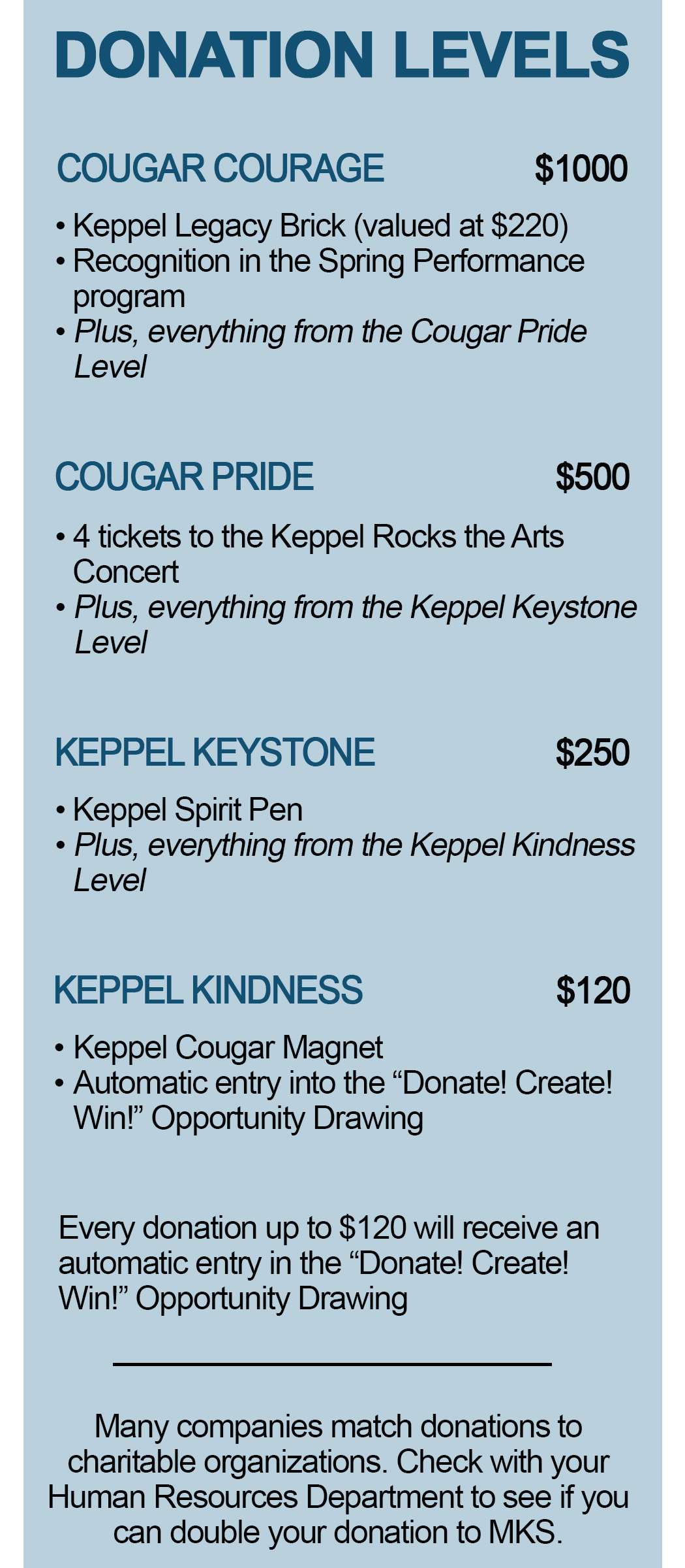 2018_2019 Donation Levels.jpg