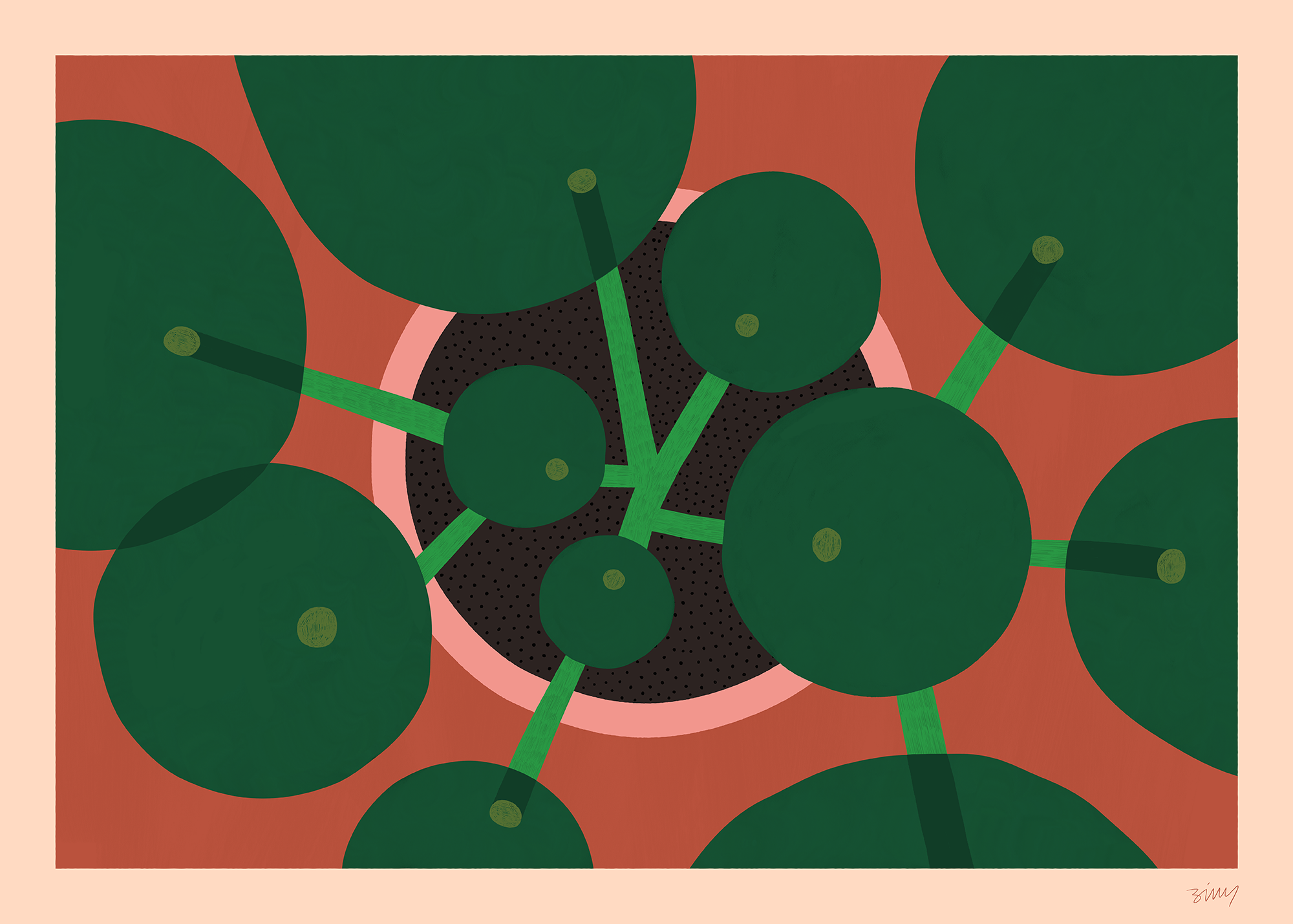 Money plant_small.png