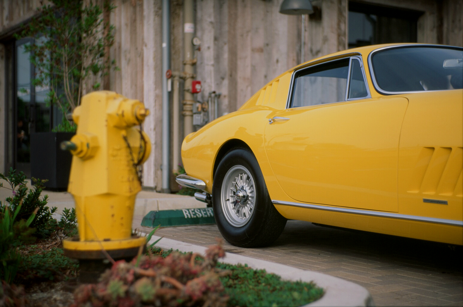  Ferrari 275 GTB 