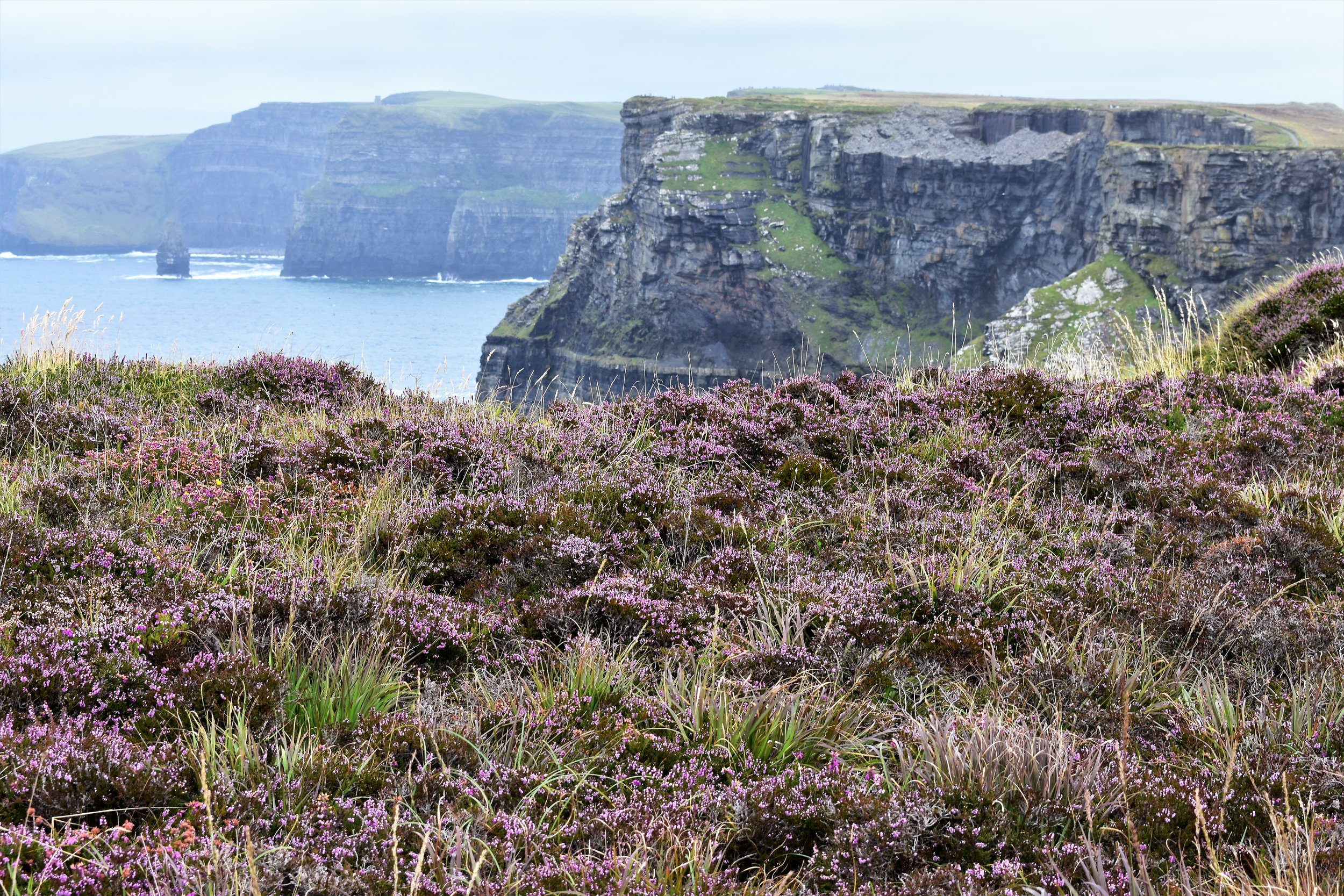 The Wild Atlantic Way