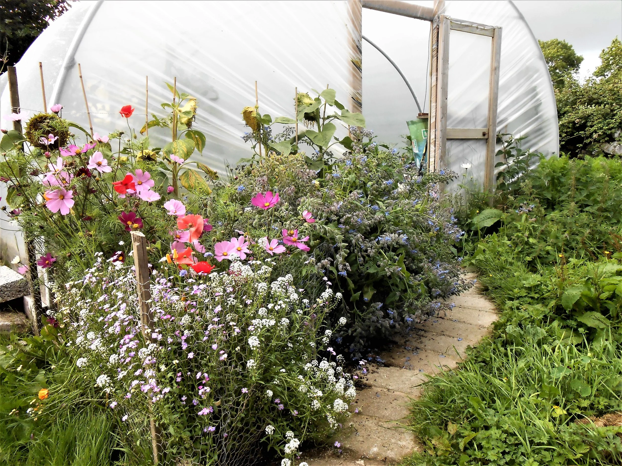 Galway's Country Garden  