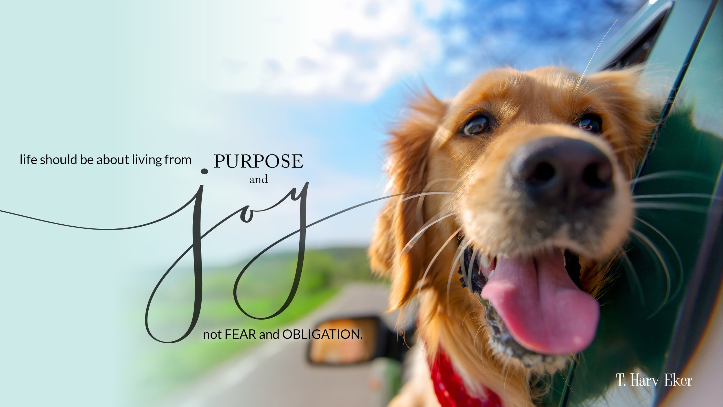 joy and purpose small.jpg