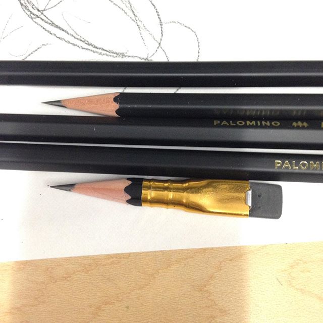 I call him lil Stumpy. He's given his all... #blackwing