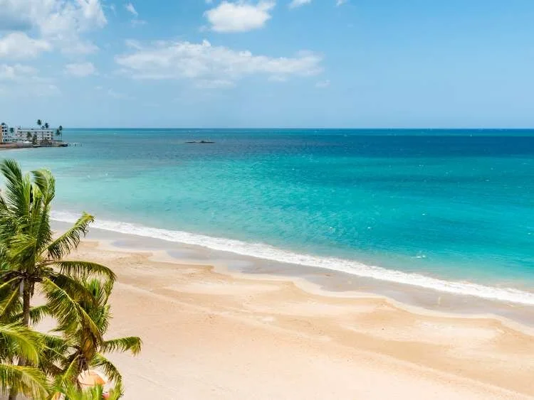 Spring Break Puerto Rico — MIT Cru