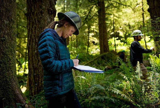 Come join our team! The Oregon Marbled Murrelet Project is hiring two new, full-time Faculty Research Assistants. For more information and to apply, go to http://jobs.oregonstate.edu/postings/68591

Thank you Jaymi Heimbuch @jaymiheimbuchwildlife for