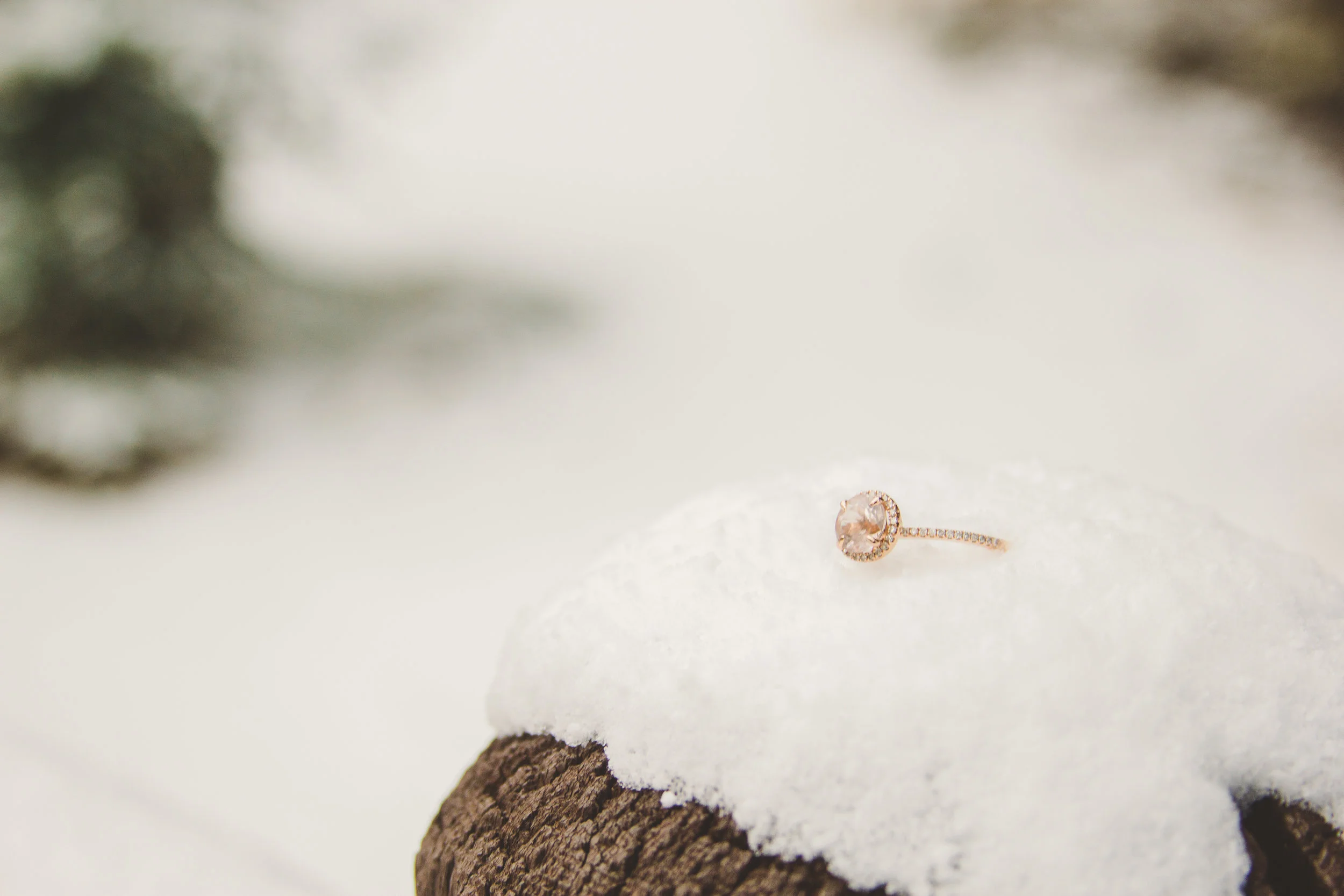 Engagements (4 of 5).jpg