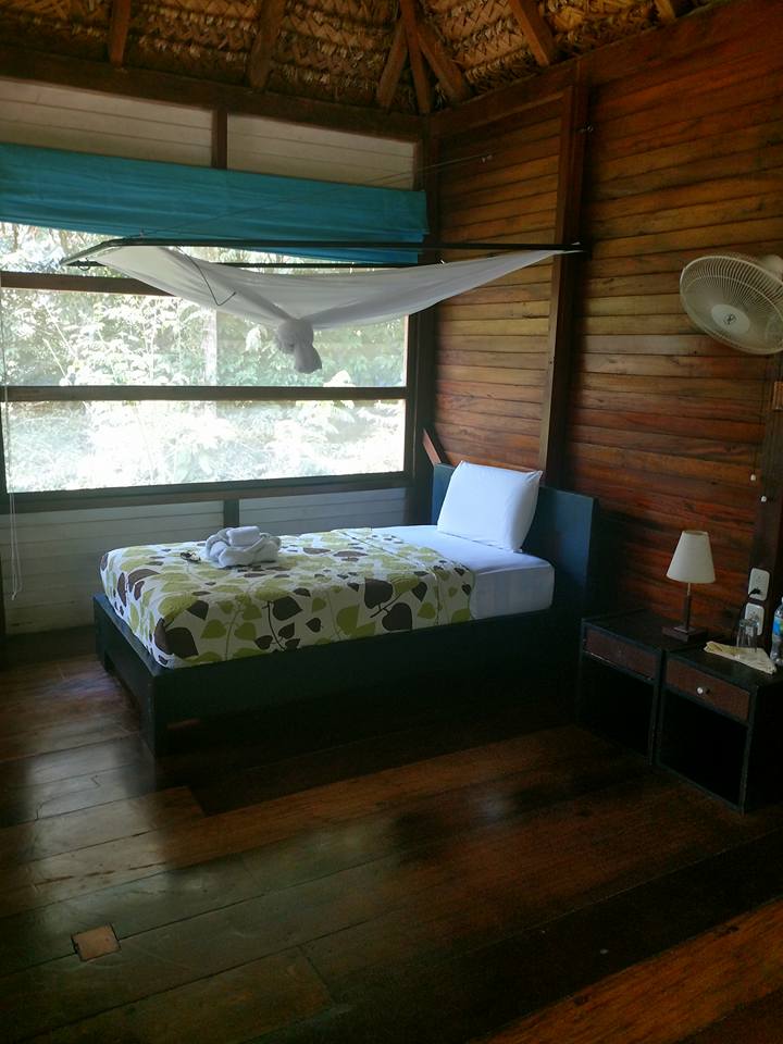 single room.jpg