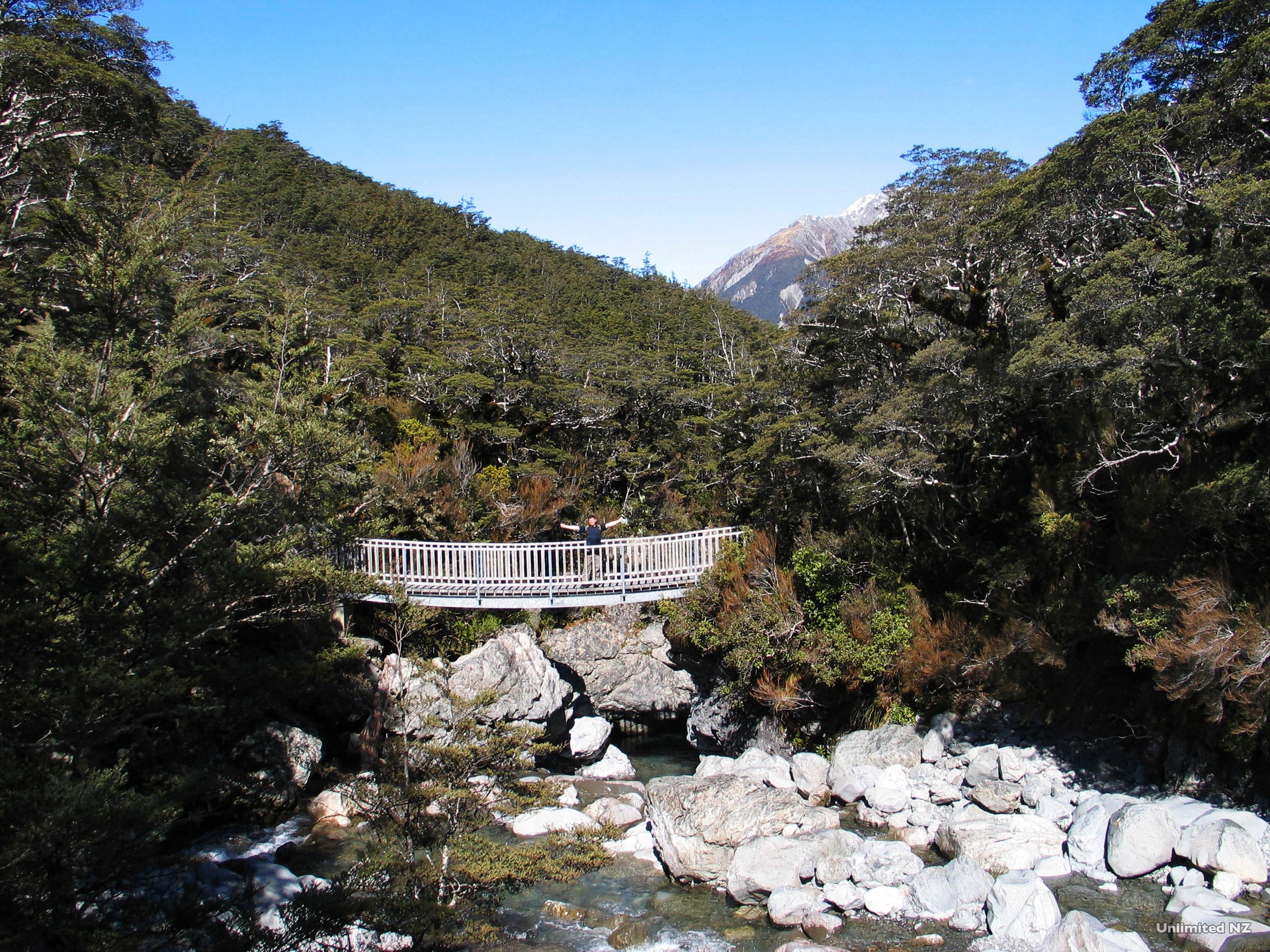 AT31-Bealey-Valley-Arthur's-Pass-Canterbury-Unlimited-New-Zealand.jpg