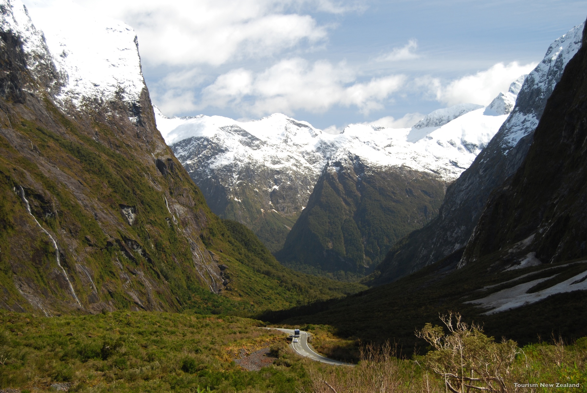 Cleddau-Valley-Fiordland-Tourism-New-Zealand.jpg