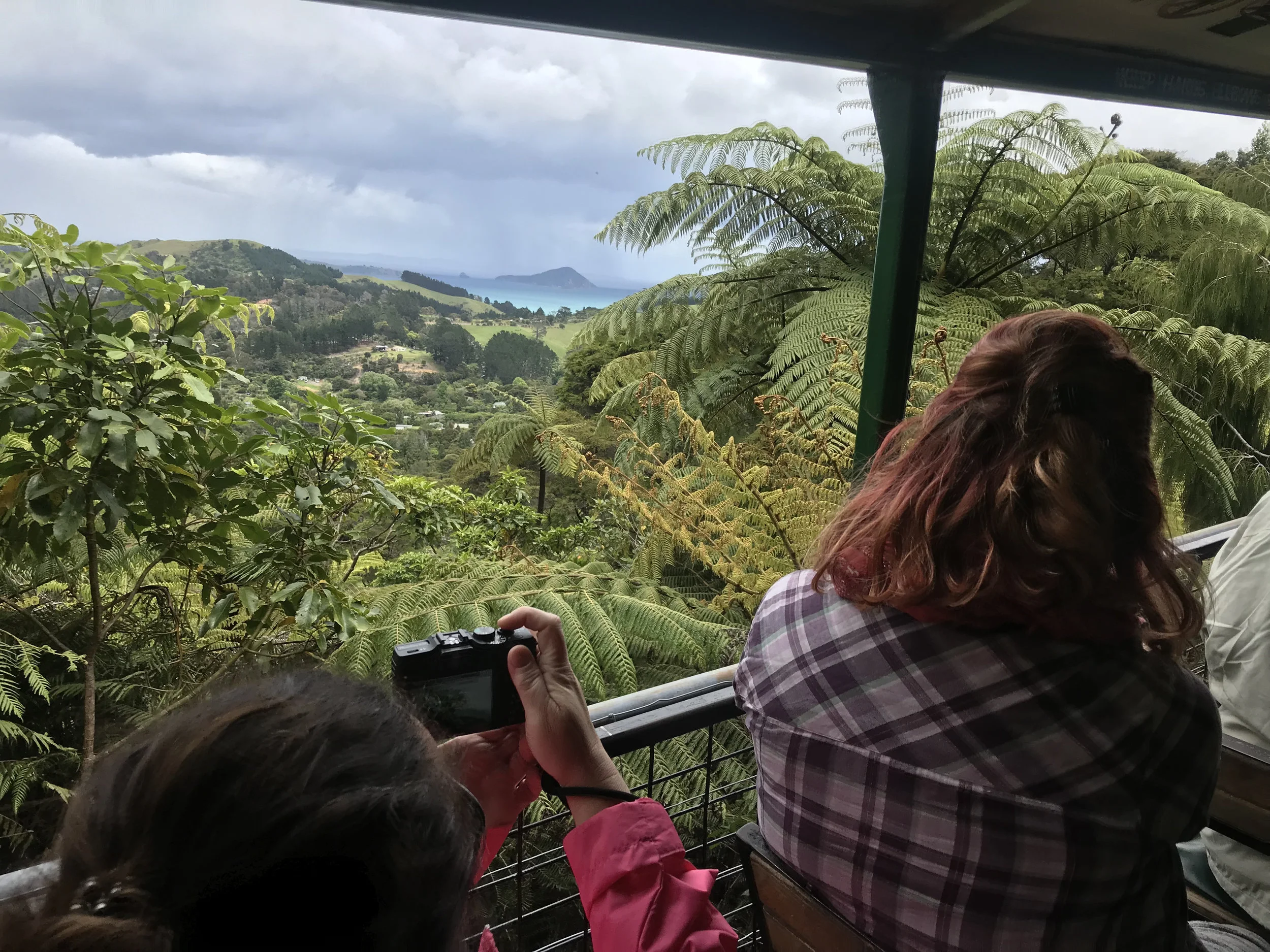 Enjoy the views at Driving Creek Railway as well as the non-existent pressure to buy anything!