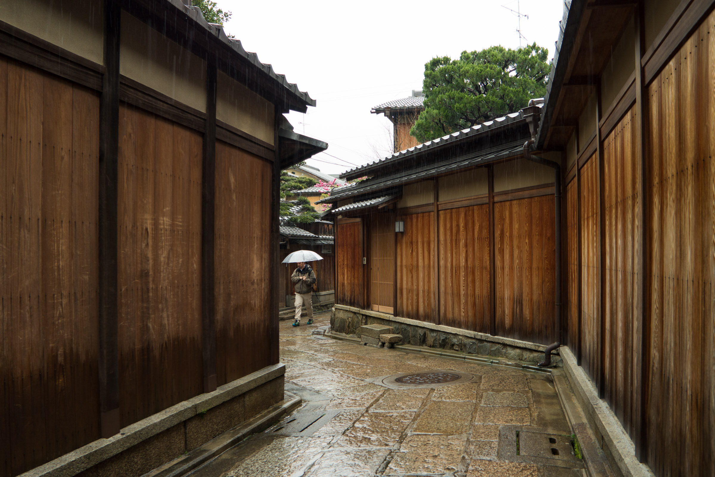Rainy_street,_Kyoto_(16683855348).jpg