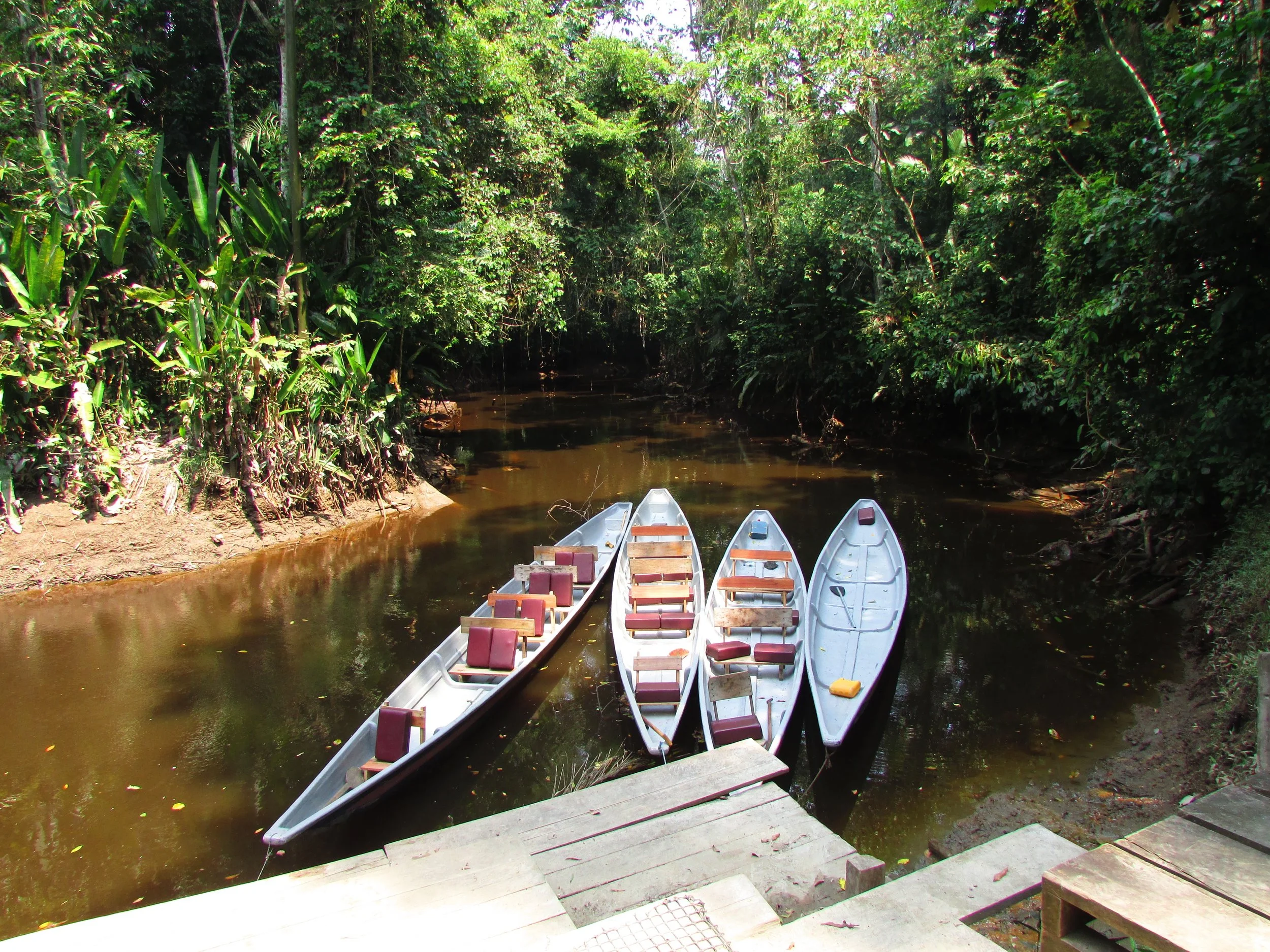 boats on creek.jpg