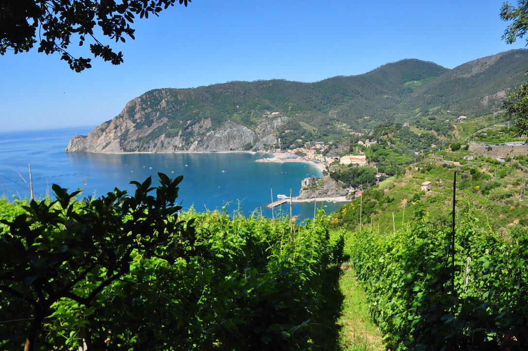 cinque terre green coast.jpeg