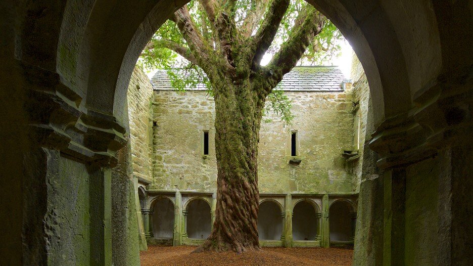 Muckross-Abbey-145243.jpg