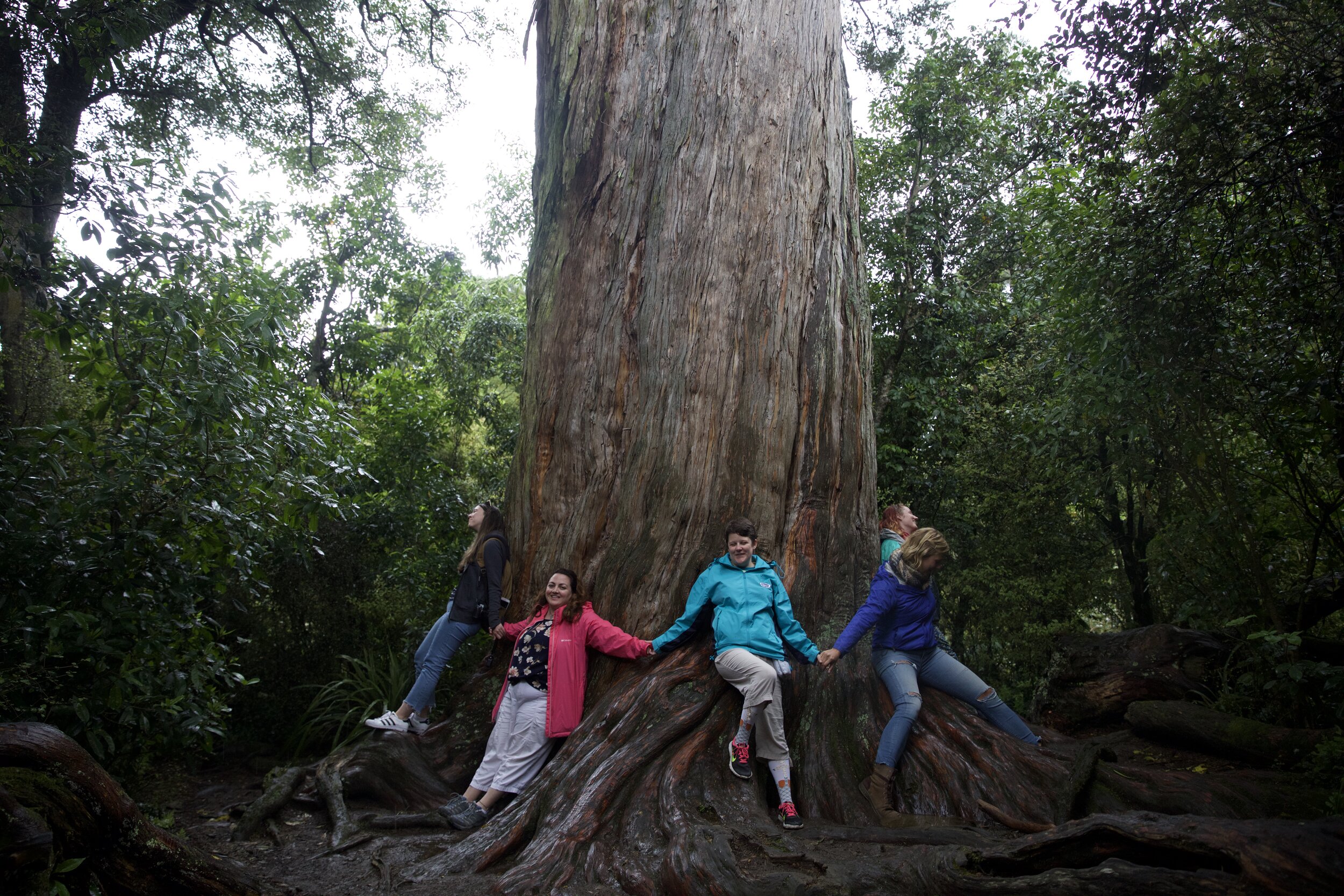 group around tree.jpg