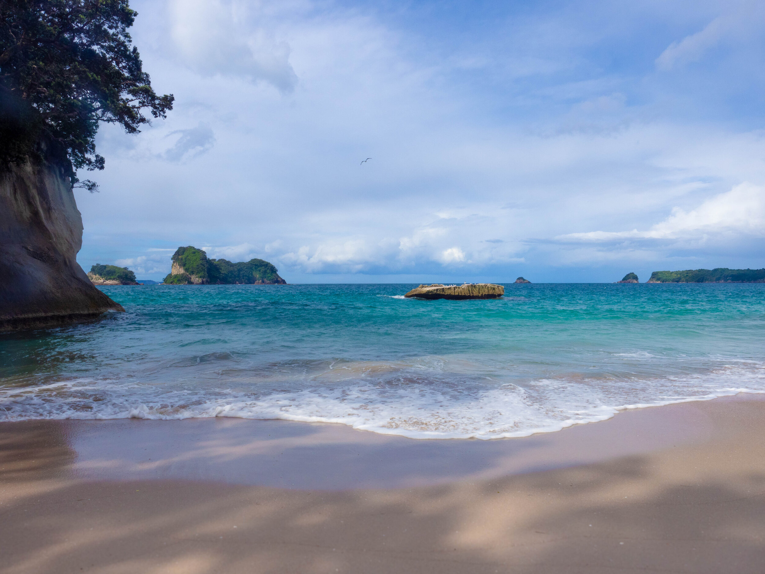 cathedral cove shore.jpg
