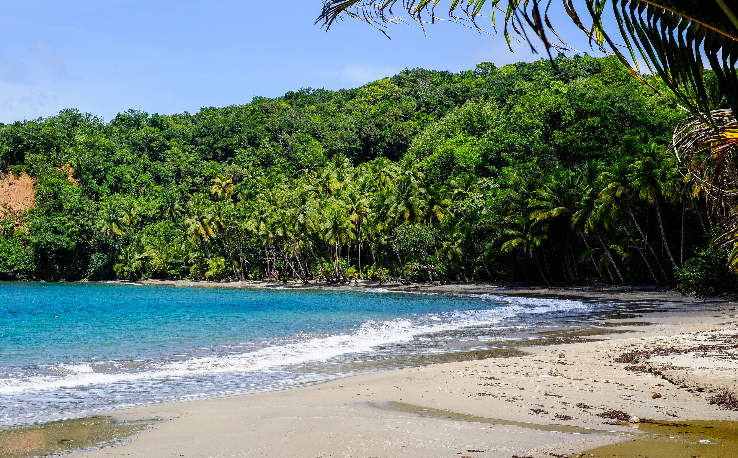 10 Best Dominica Beaches — Traverse Journeys Travel That Transforms