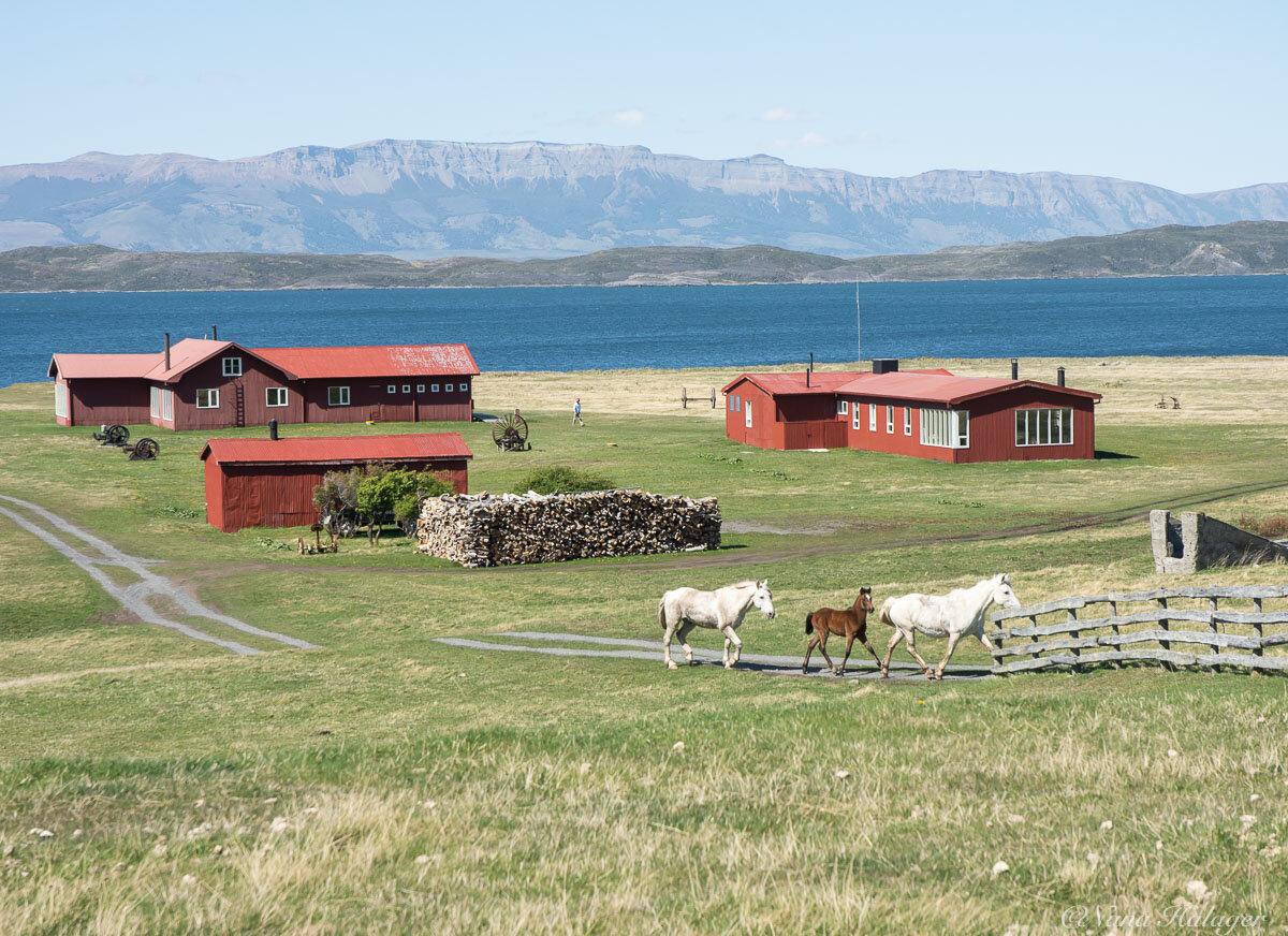 estancia la peninsula wide shot.jpg