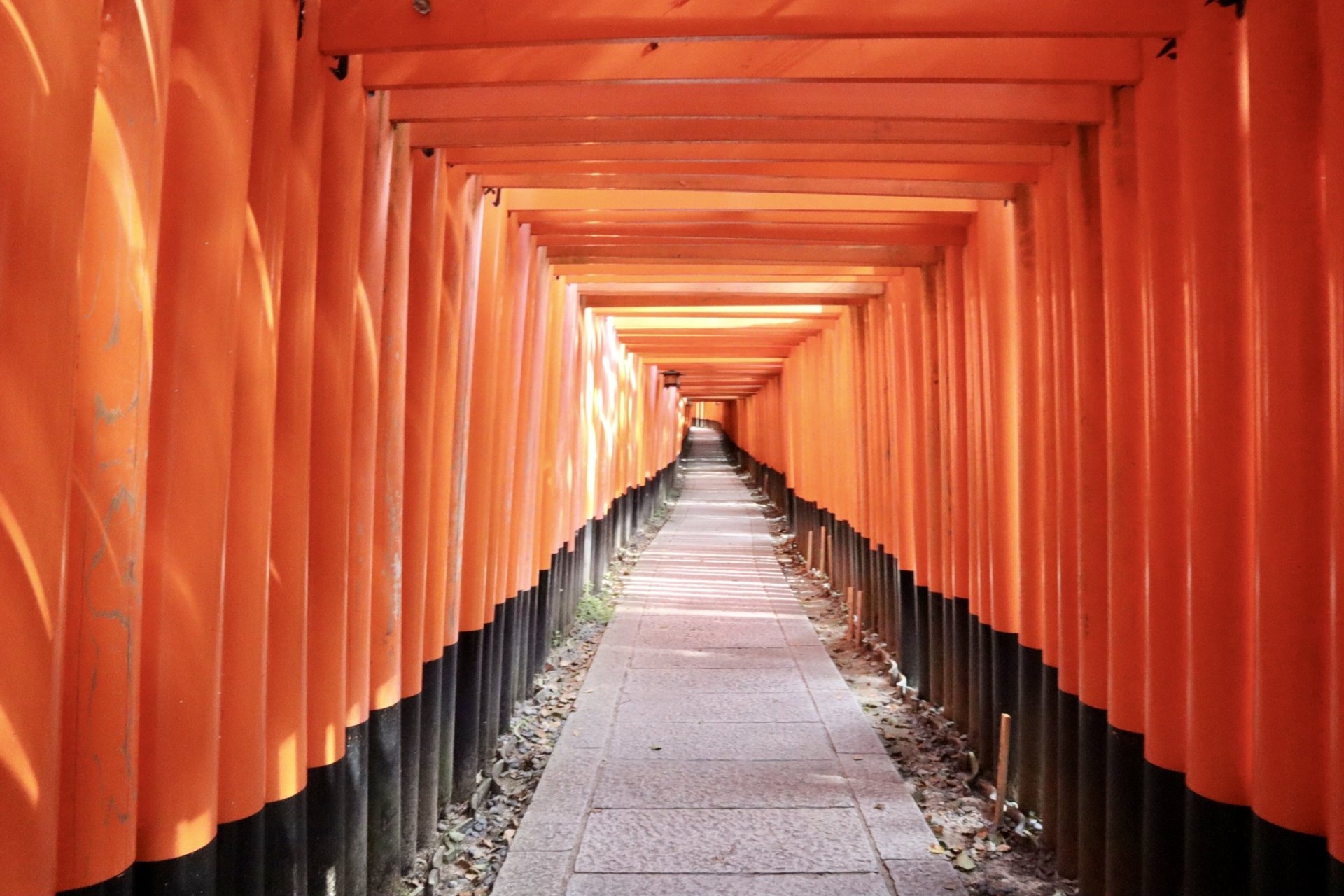 Fushimi Inari Taisha 2.jpg