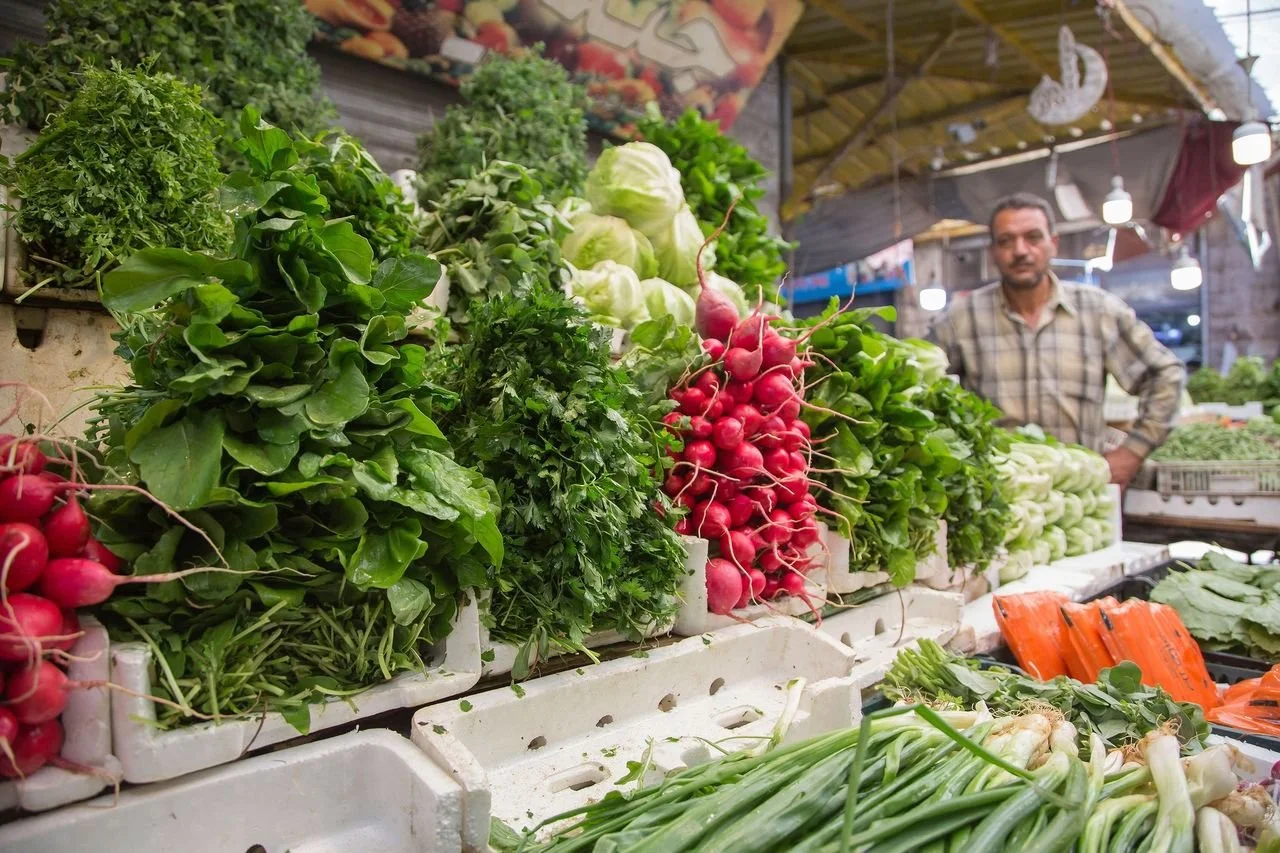 Jordan’s Regenerative Agriculture: Resilience in the Middle East