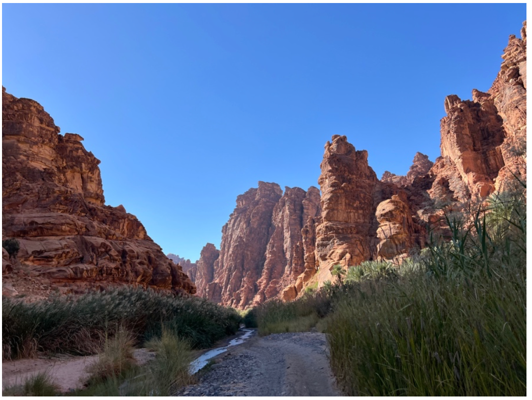 Top 5 Experiences in Saudi Arabia 