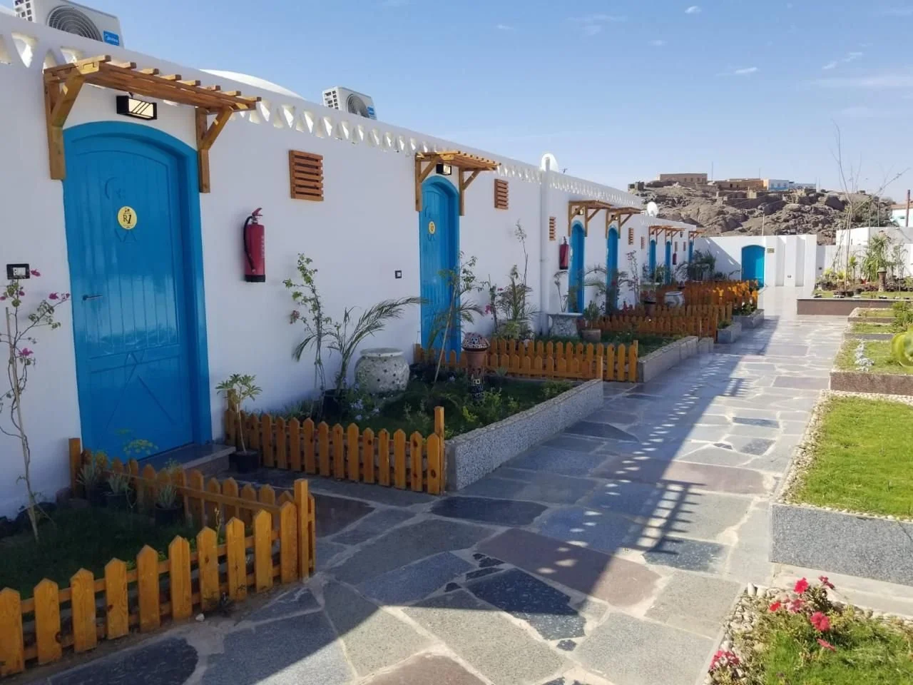 Egypt’s Regenerative Agriculture: Cultivating Life, Land, and Tradition