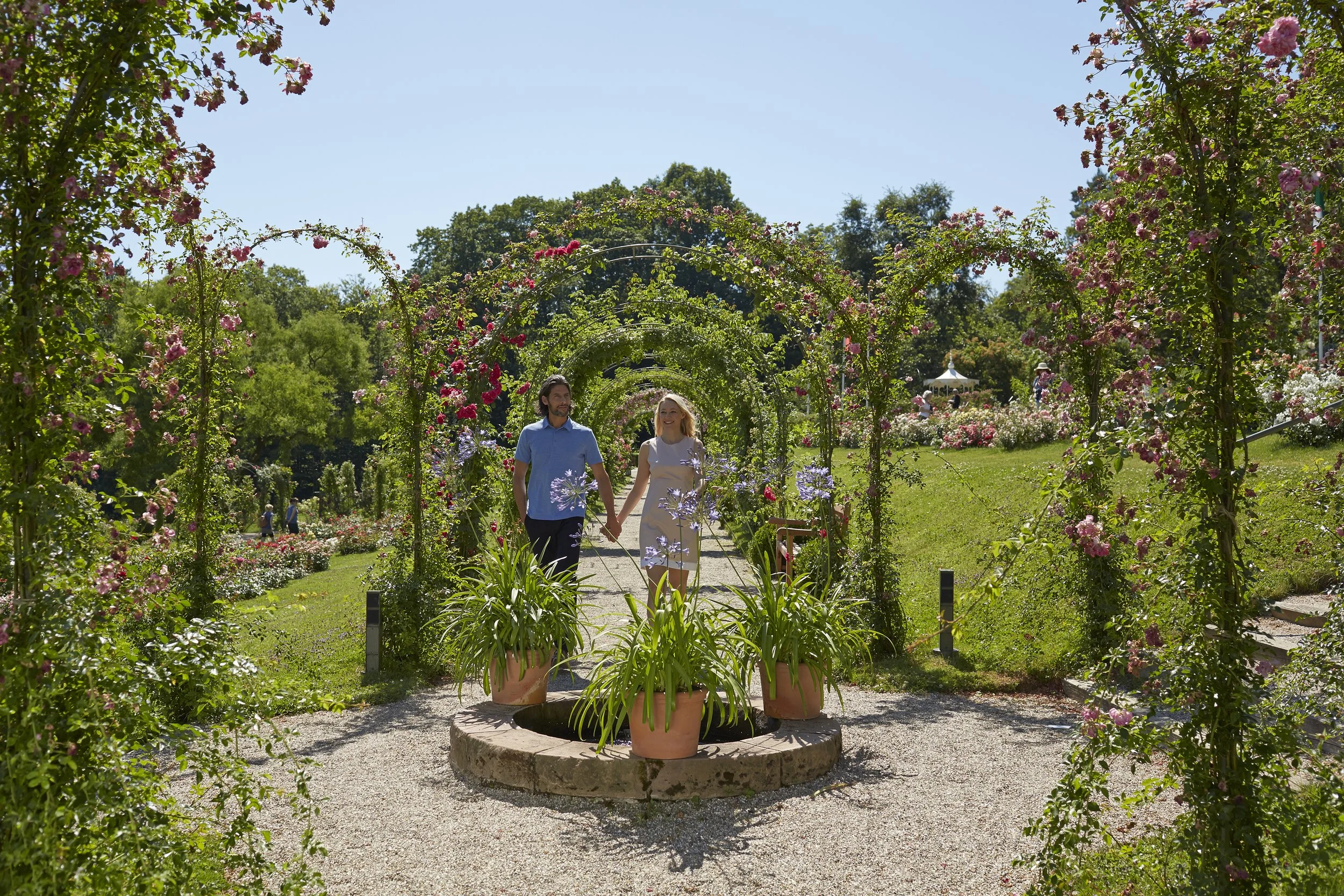 Baden-Baden_Rosenneuheitengarten (c) Baden-Baden Kur & Tourismus GmbH.jpg