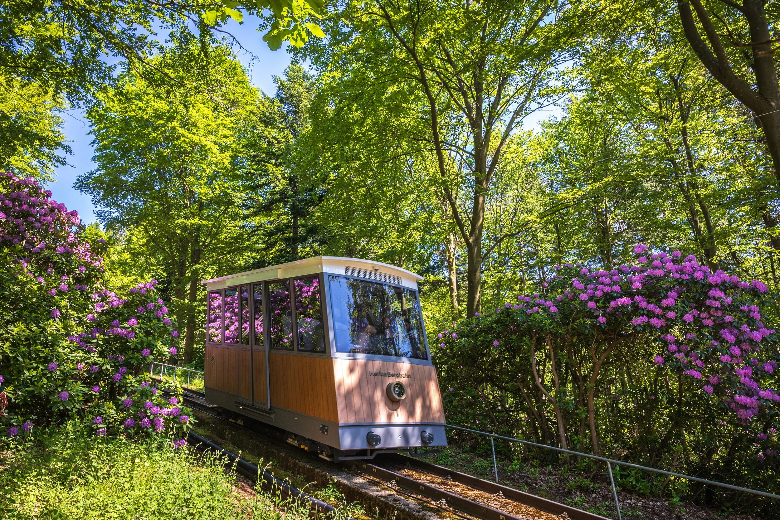 Baden-Baden_MerkurBergbahn (c) Baden-Baden Kur & Tourismus GmbH, N. Dautel.jpg