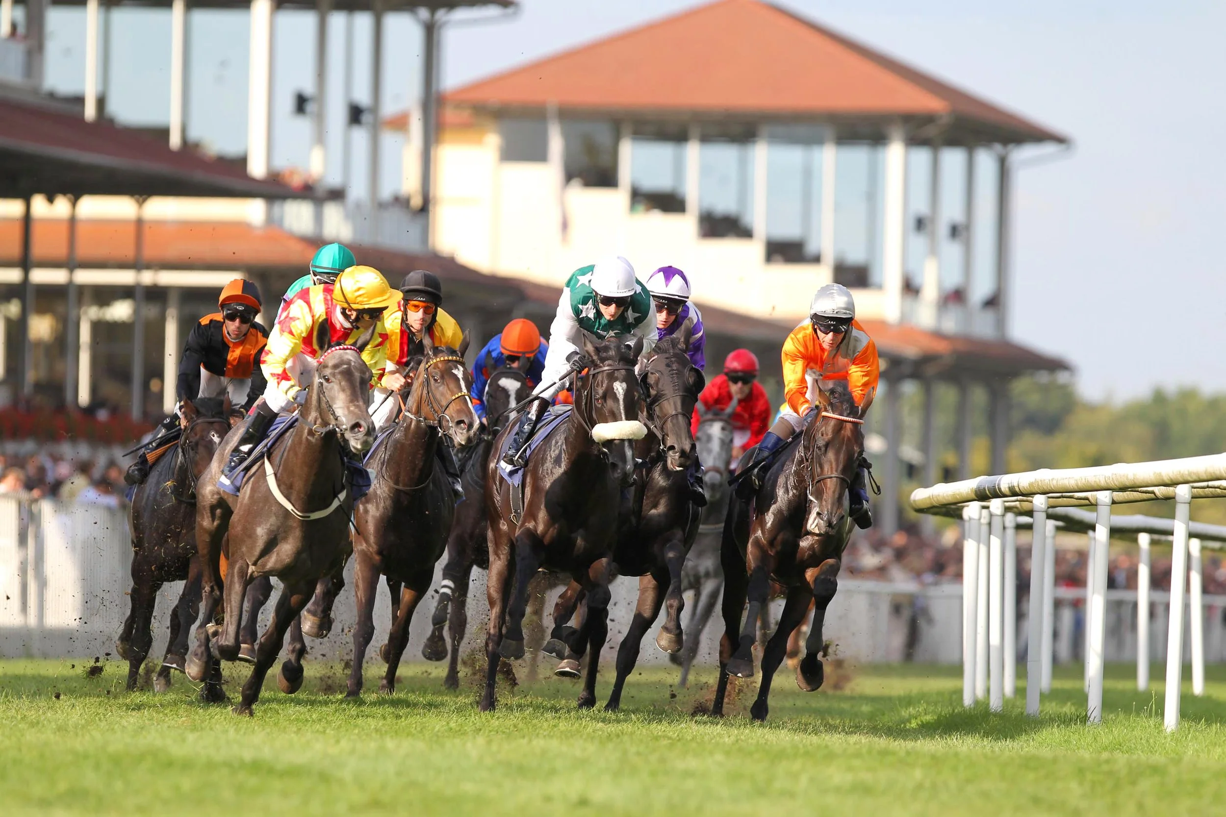 Baden-Baden_Galopprennbahn Baden-Baden-Iffezheim (c) Baden-Baden Kur & Tourismus GmbH.jpg