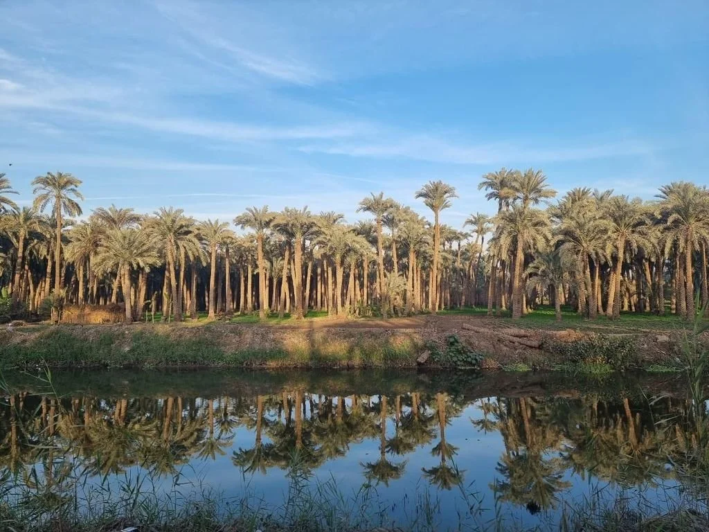 Egypt’s Regenerative Agriculture: Cultivating Life, Land, and Tradition