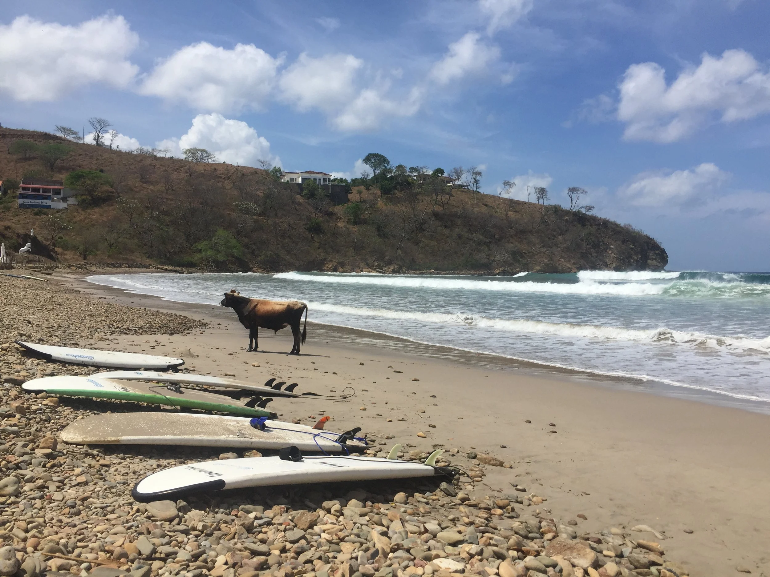 Meet our Partner: Barrio Planta Project Nicaragua