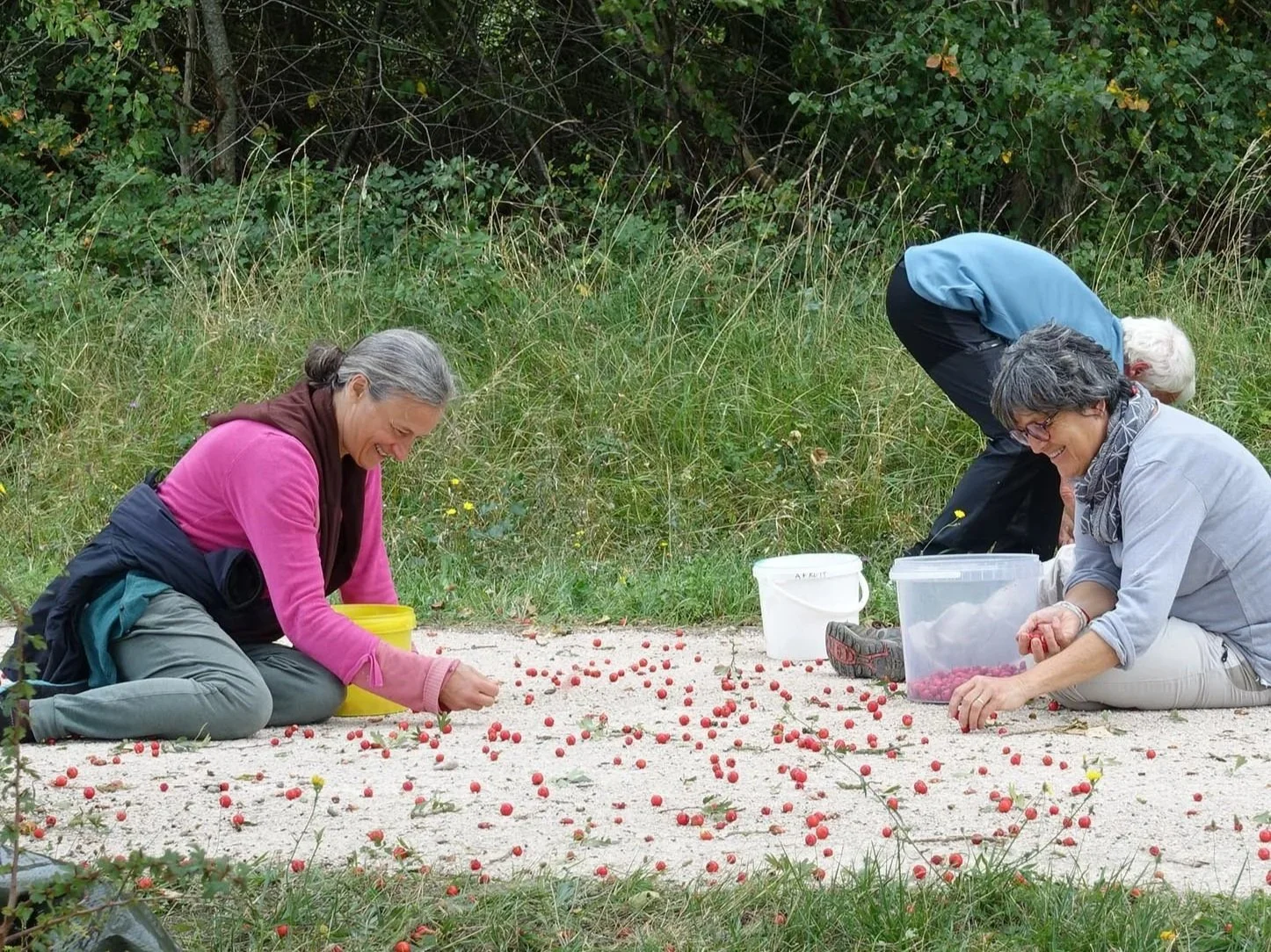 Southwest France Cultural Experiences: Inside Atout Fruit’s Living Orchard