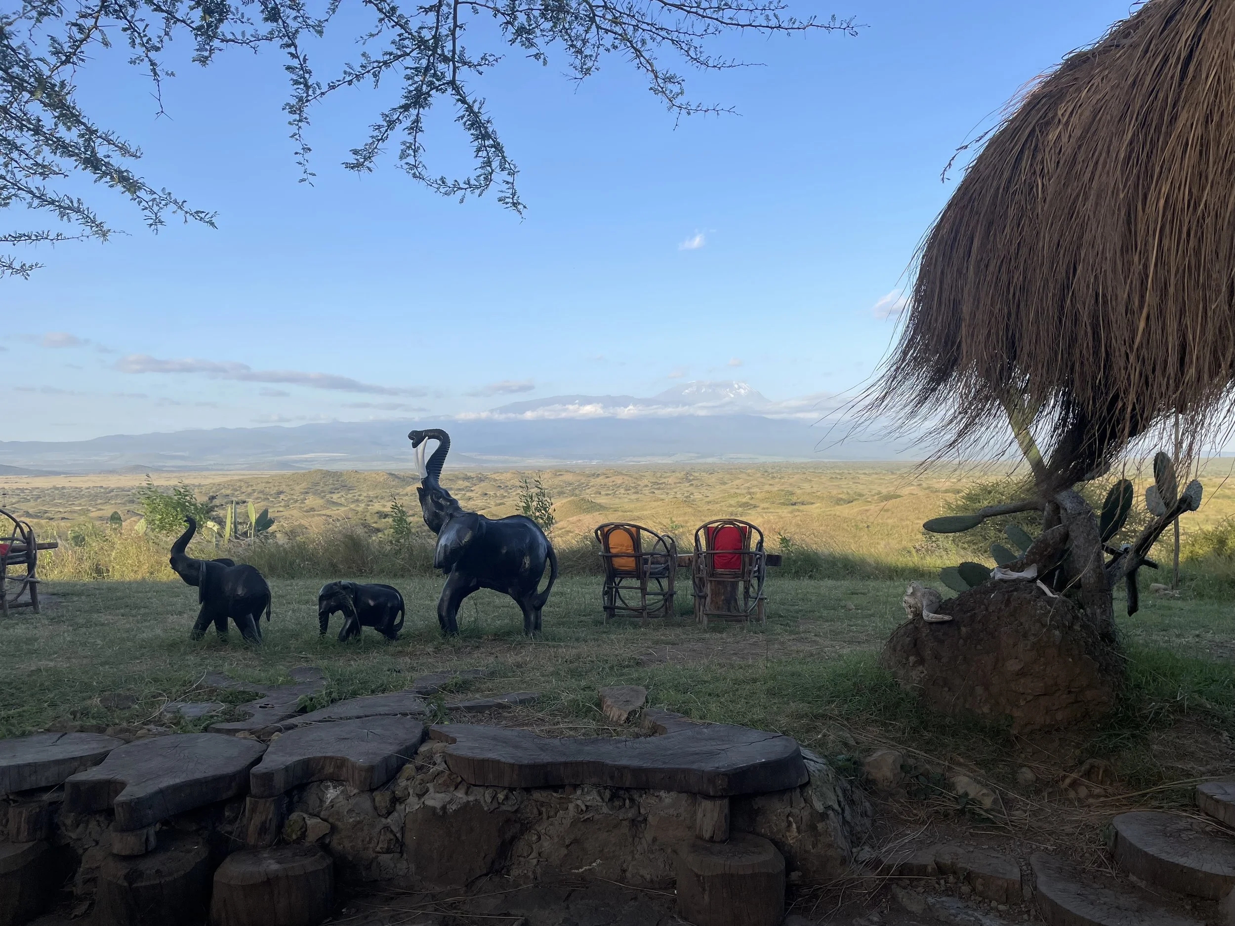 maasai lodge view.jpeg