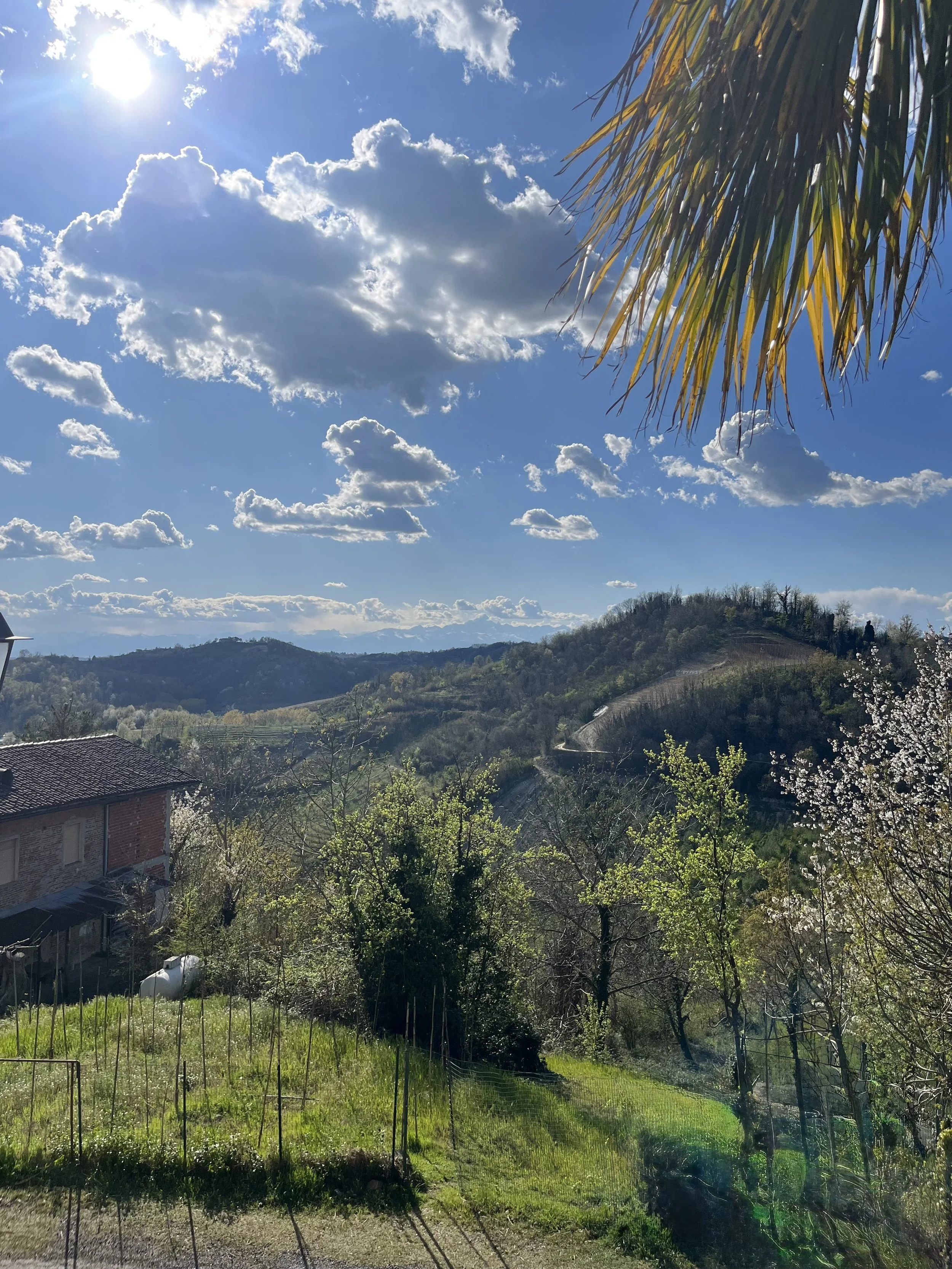 Reasons to Visit Siena