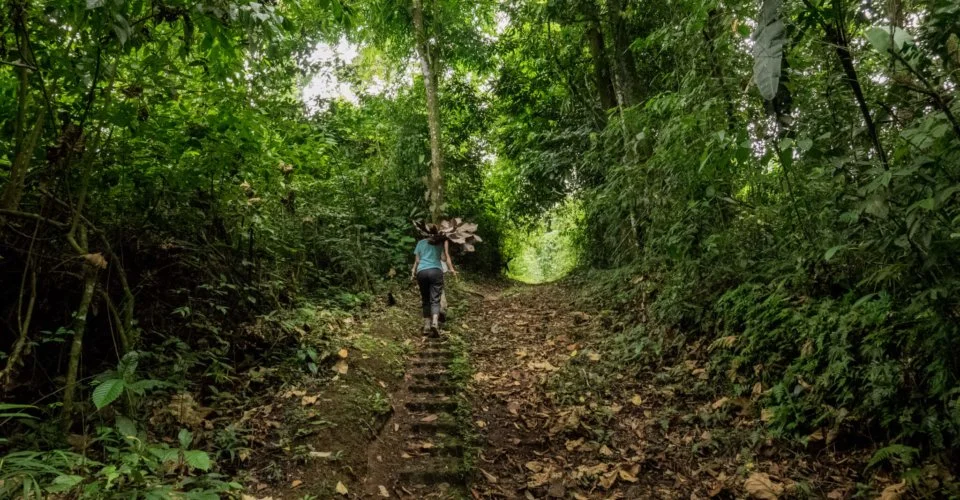 12 Interesting Costa Rica Facts