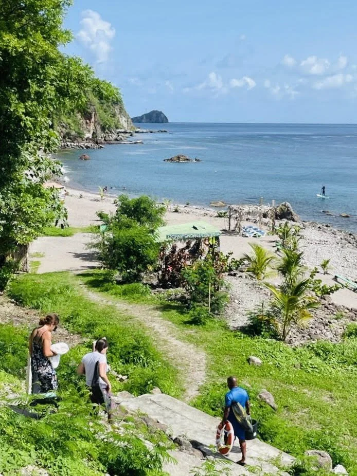10 Best Dominica Beaches To Visit