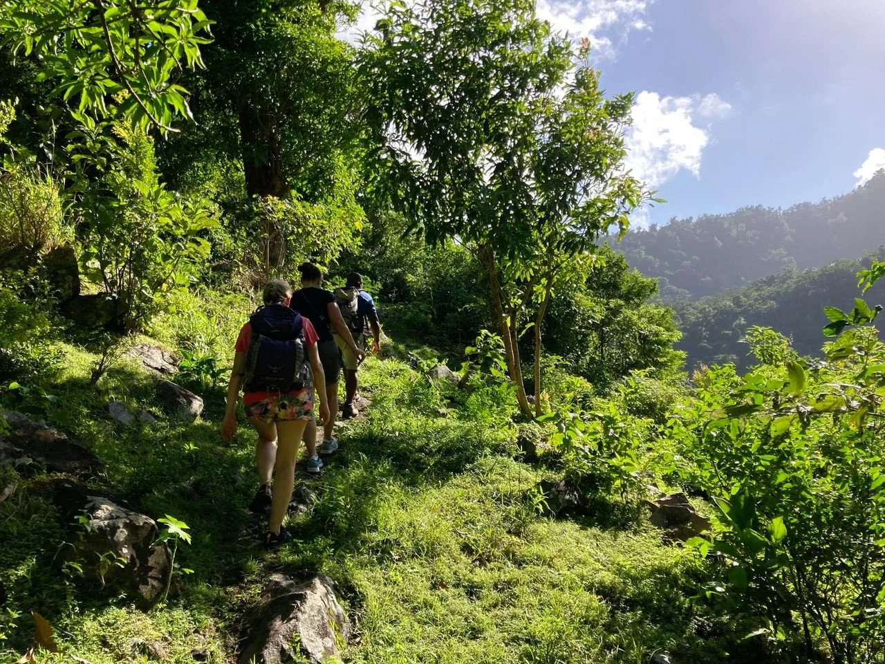 Regenerative Agriculture in Dominica: Where Land, Medicine, and Culture Grow Together