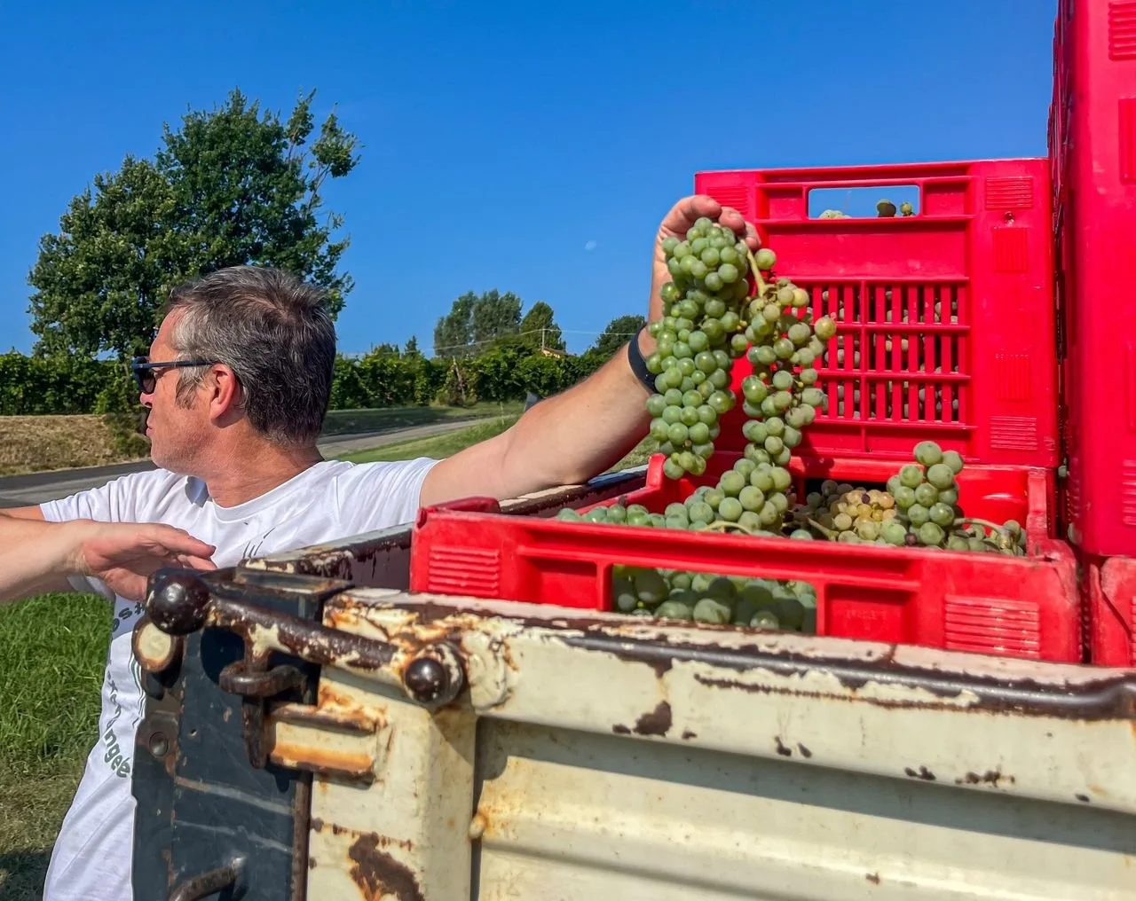 Regenerative Agriculture in Italy: Slow Food, Ancient Traditions & a UNESCO Legacy