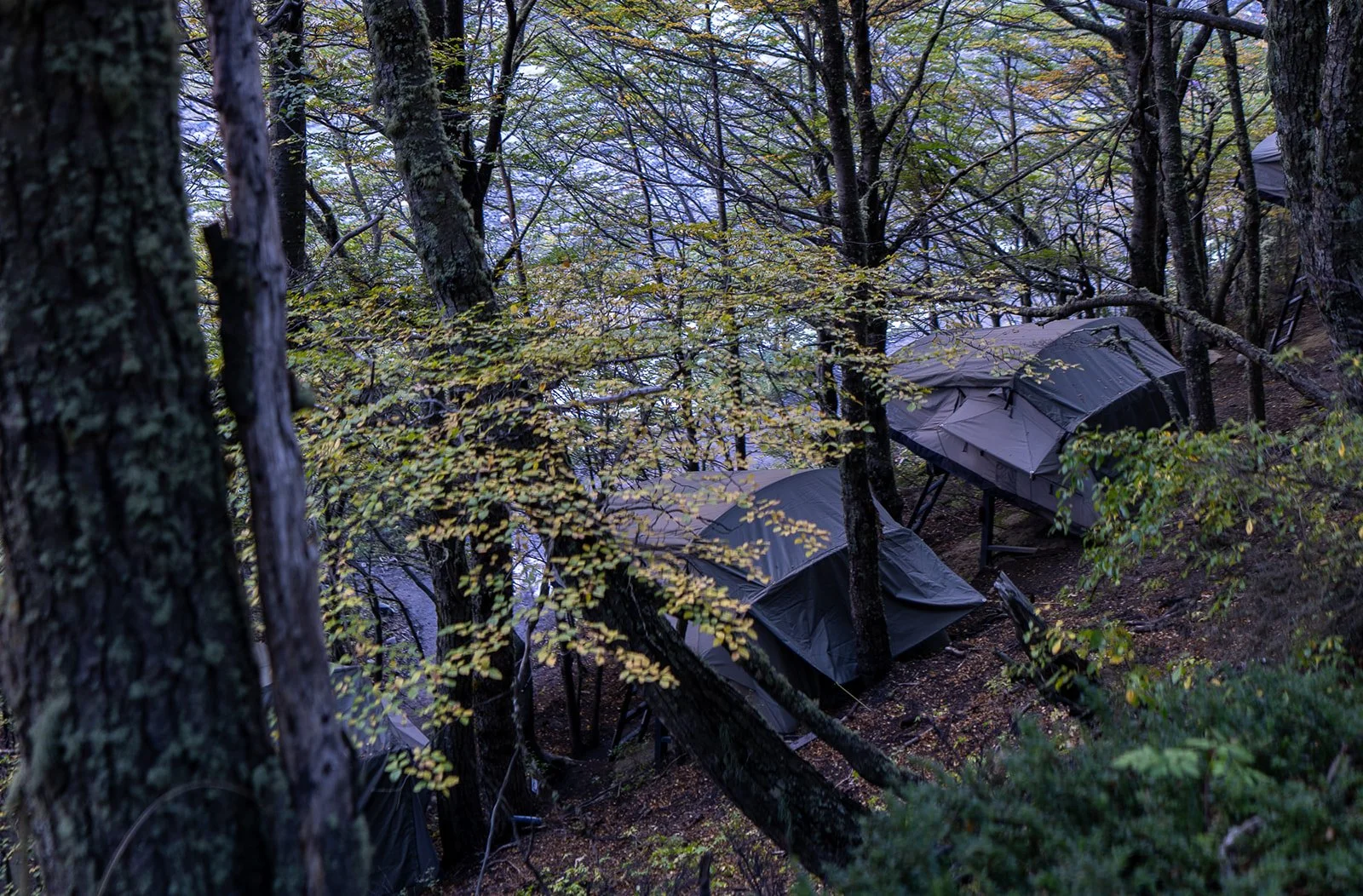 _DSC7867.jpg