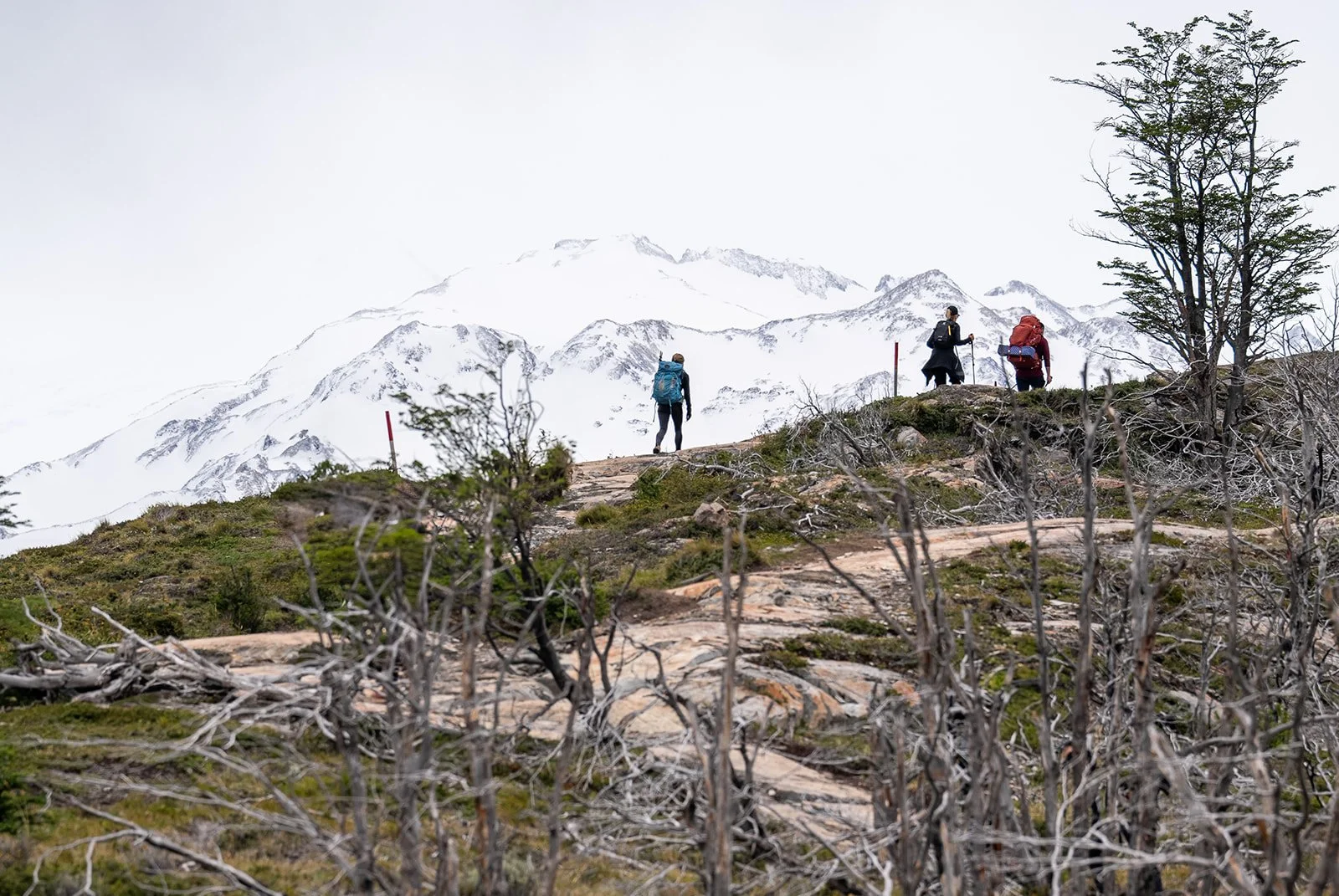 WTrekday4_Patagonia_HarrisDro-18.jpg