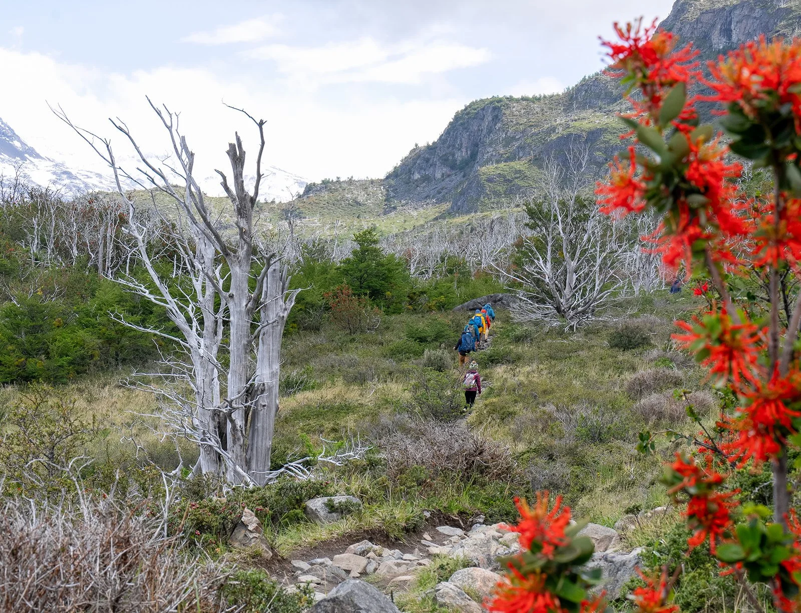 WTrekday3_Patagonia_HarrisDro-35.jpg