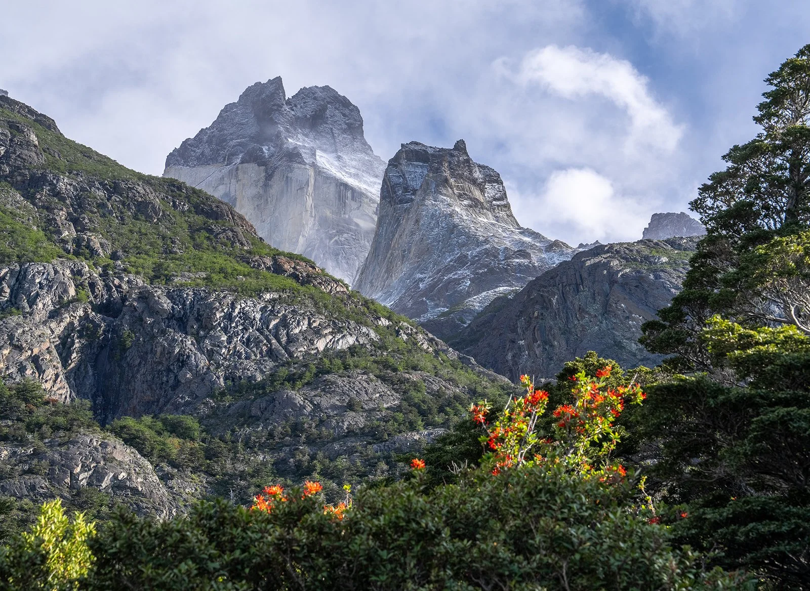 WTrek_Patagonia_HarrisDro-37.jpg